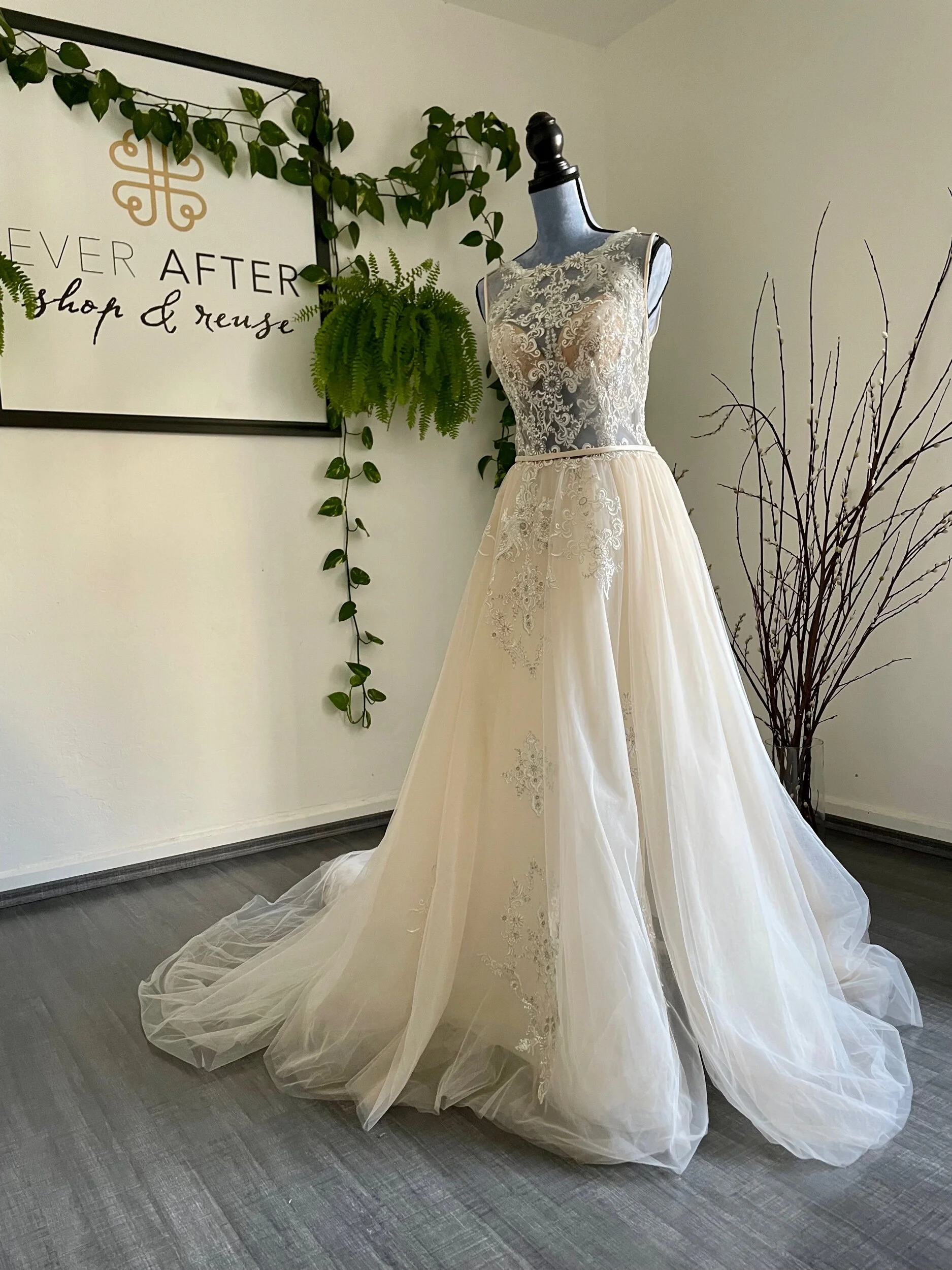 B5D7C959-BC7F-4E3C-AB8E-4AA934A36A15