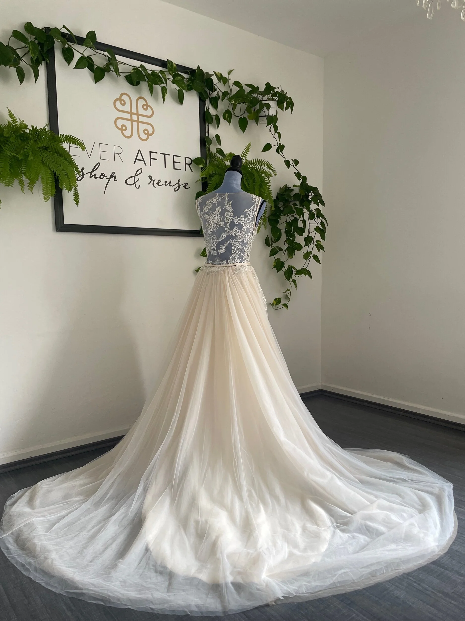 407A2D8E-92CB-44F0-86F0-F77D74D3EB71