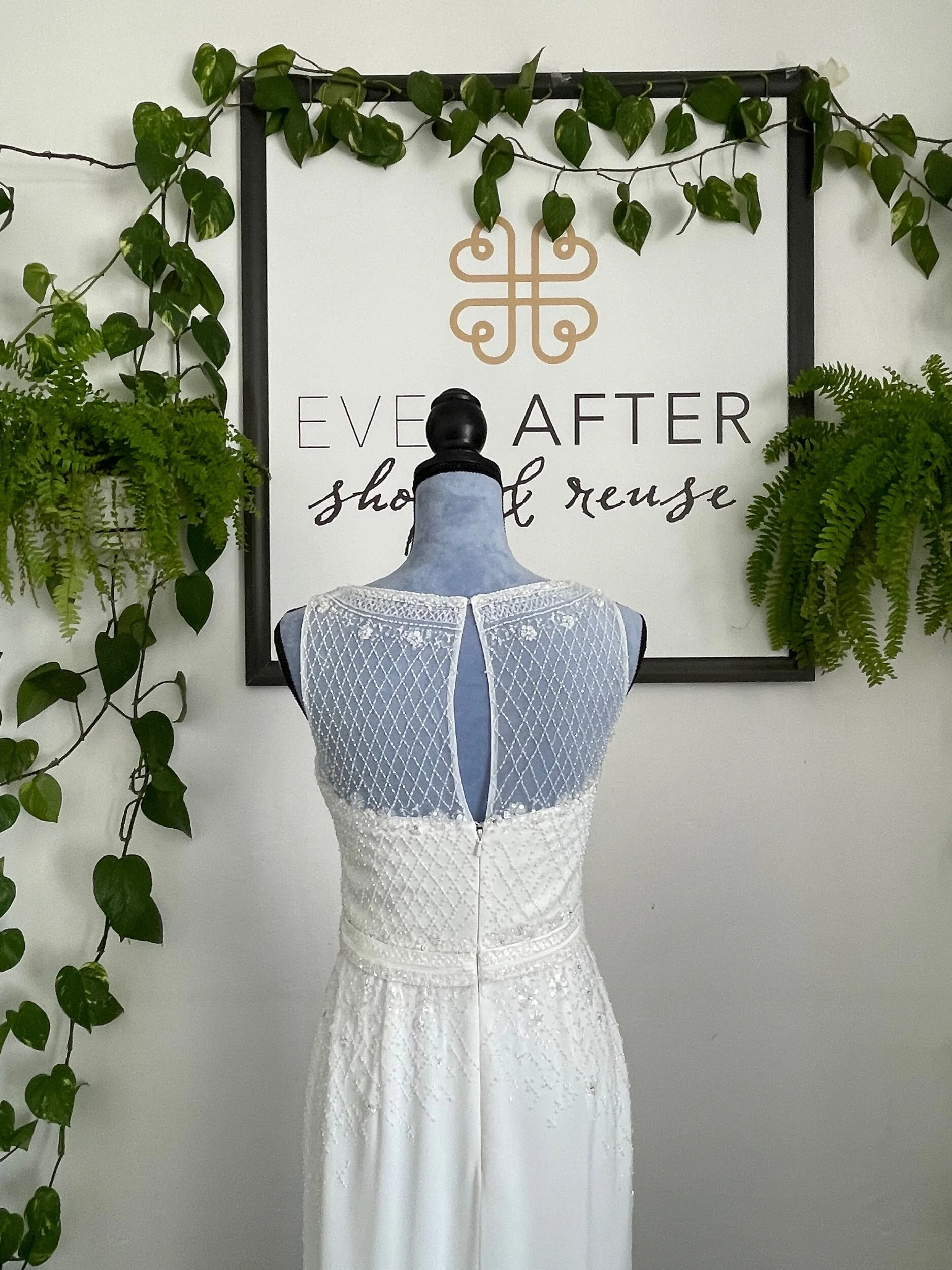 D9A11079-1B00-4032-9572-8763184E5715