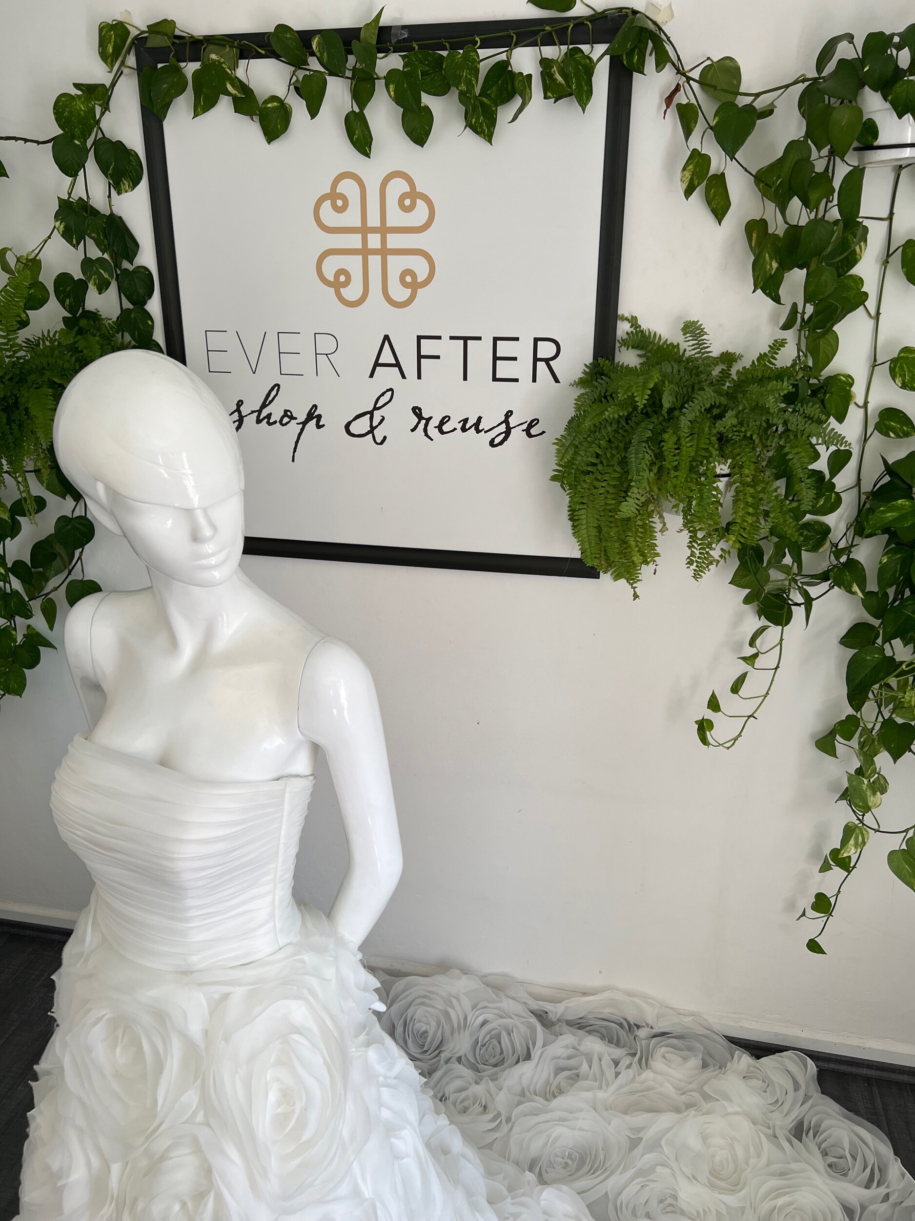 FB07E0F4-365F-47F8-B42F-22261038167B