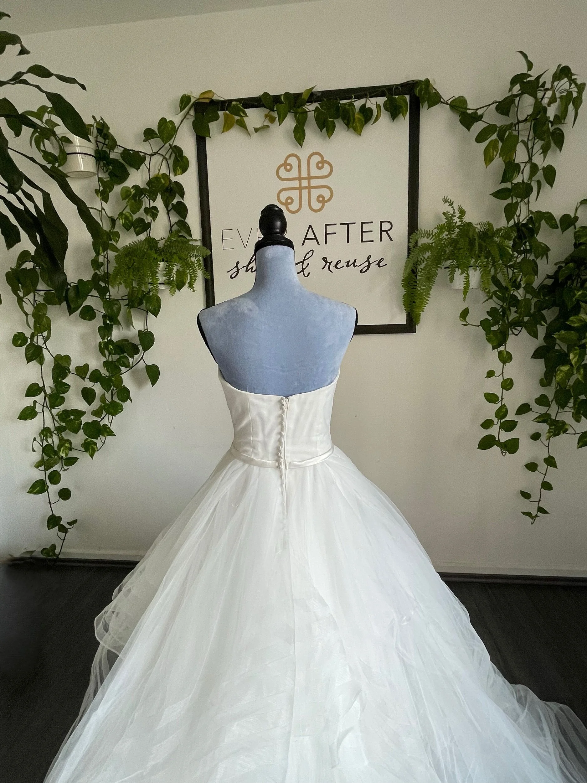 3738364A-735A-4739-B15F-8D76D4D638B2