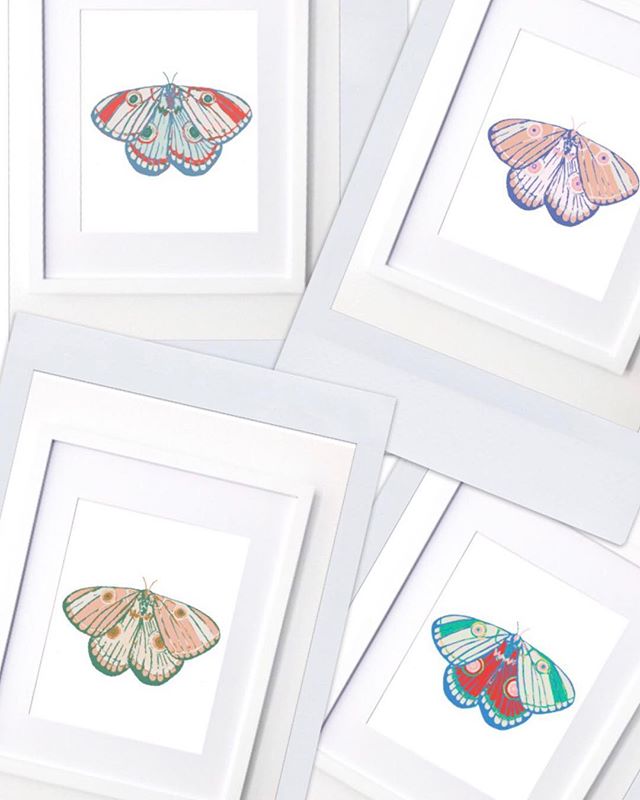 Which color moth would you pick for a kids room? Check out all the options in my stories and comment below with your pick!
&bull;
&bull;
&bull;
&bull;
&bull;!
#wallart #kidsroomdecor #moth #illustration #design #artprint #homedecor #i teriordesign #o