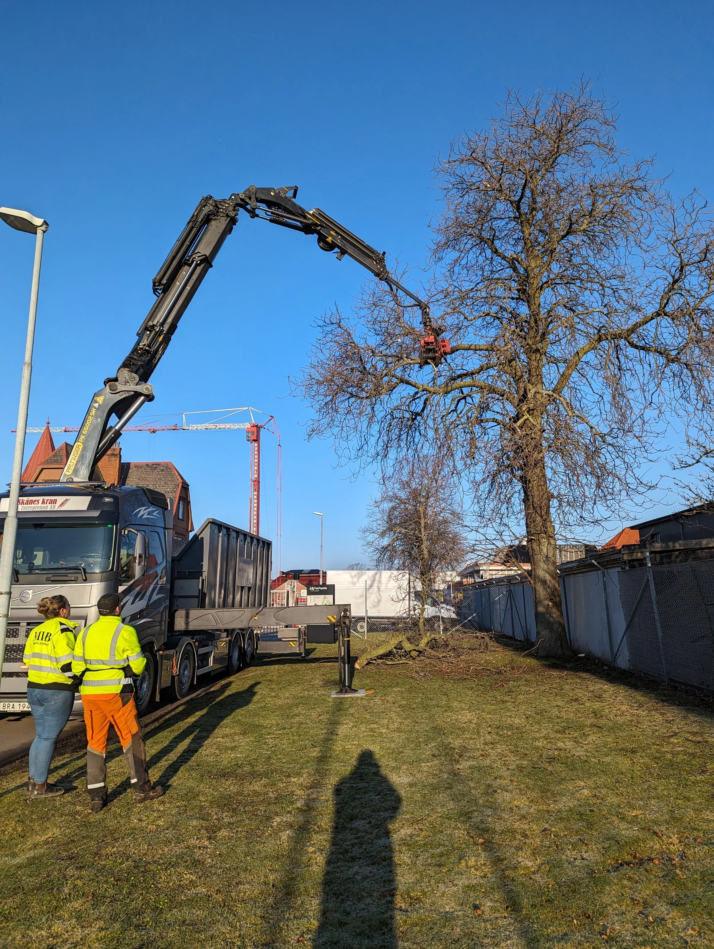 Beskärning