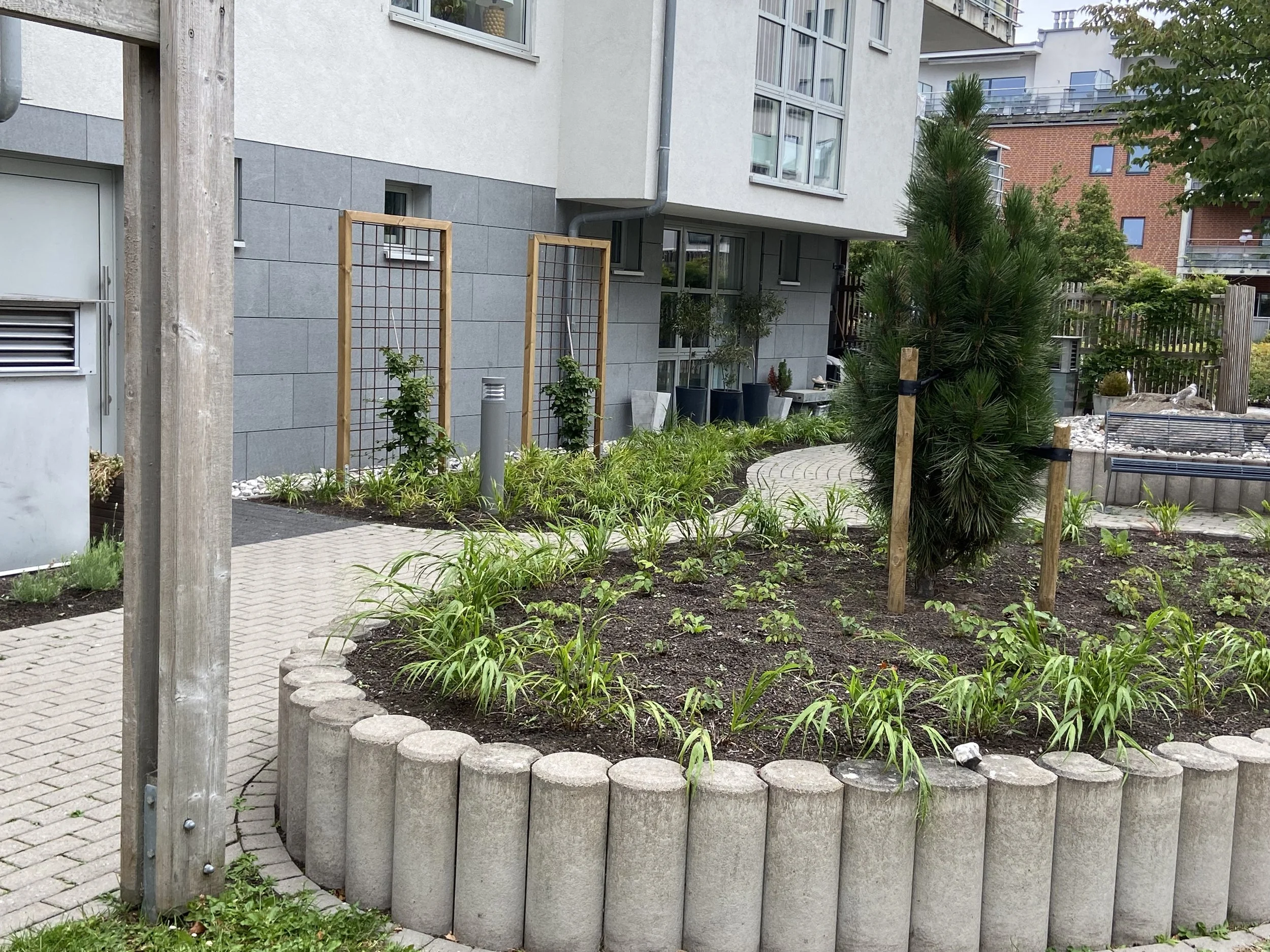 Nytt växt förslag och plantering på innergård i västra hamnen