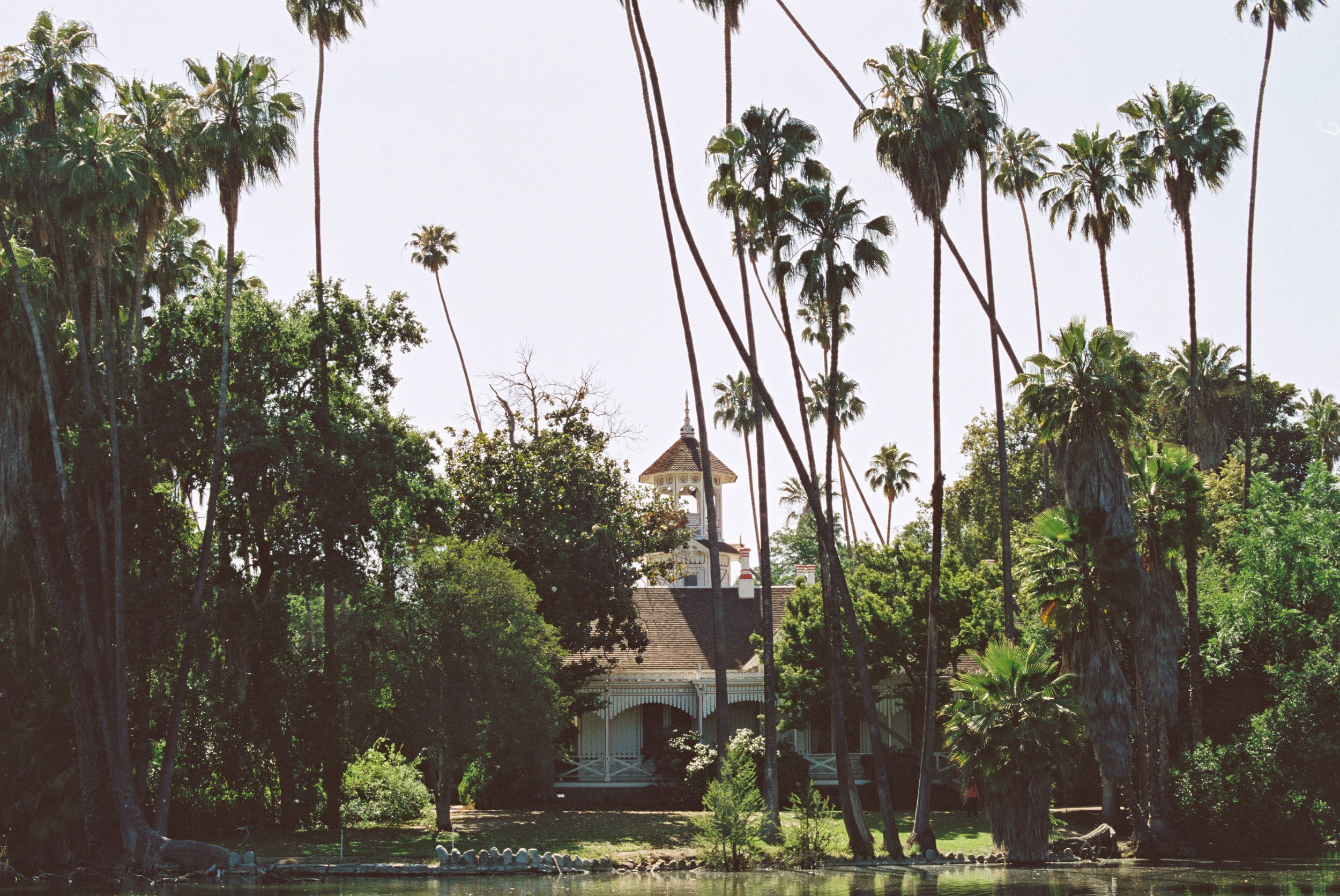 LA County Arboretum