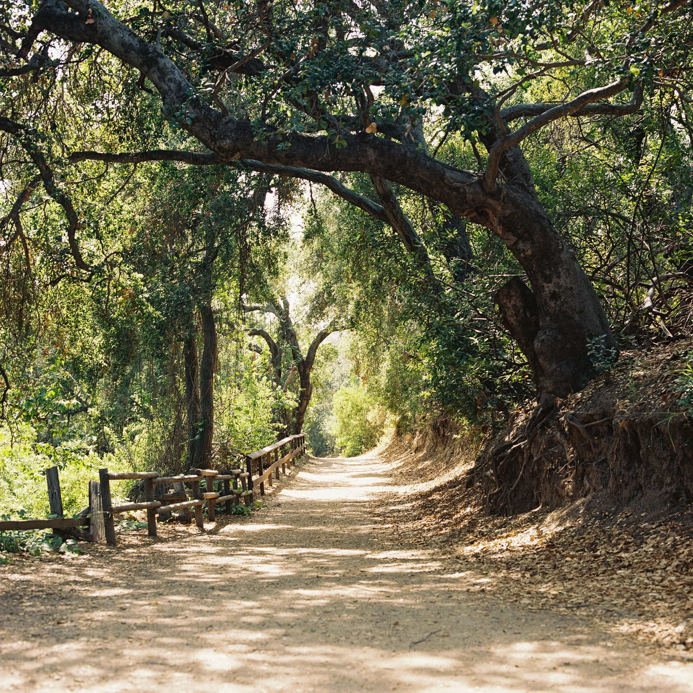 Oak Canyon Nature Center