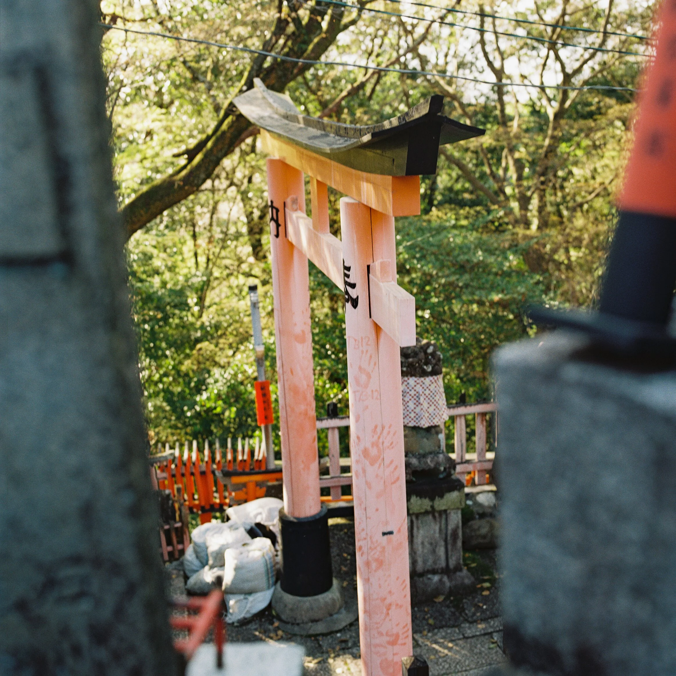 Fushimi Inari Taisha