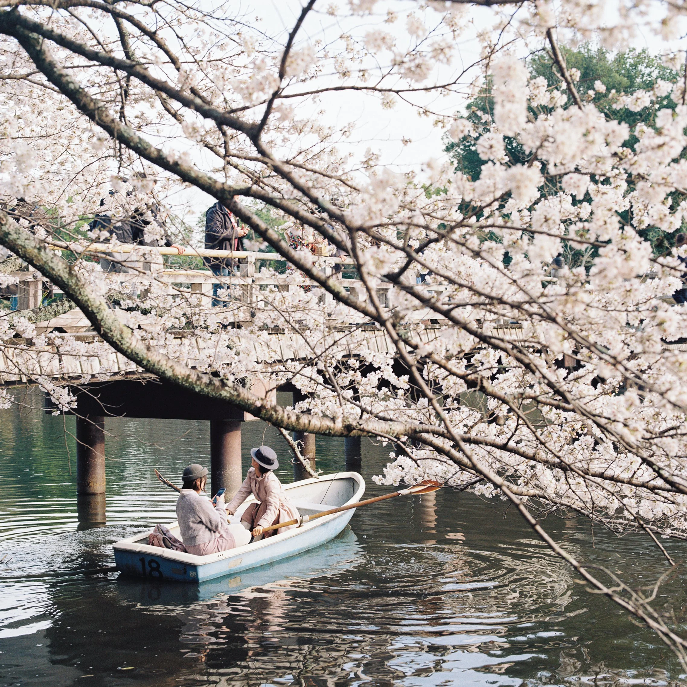 Nara