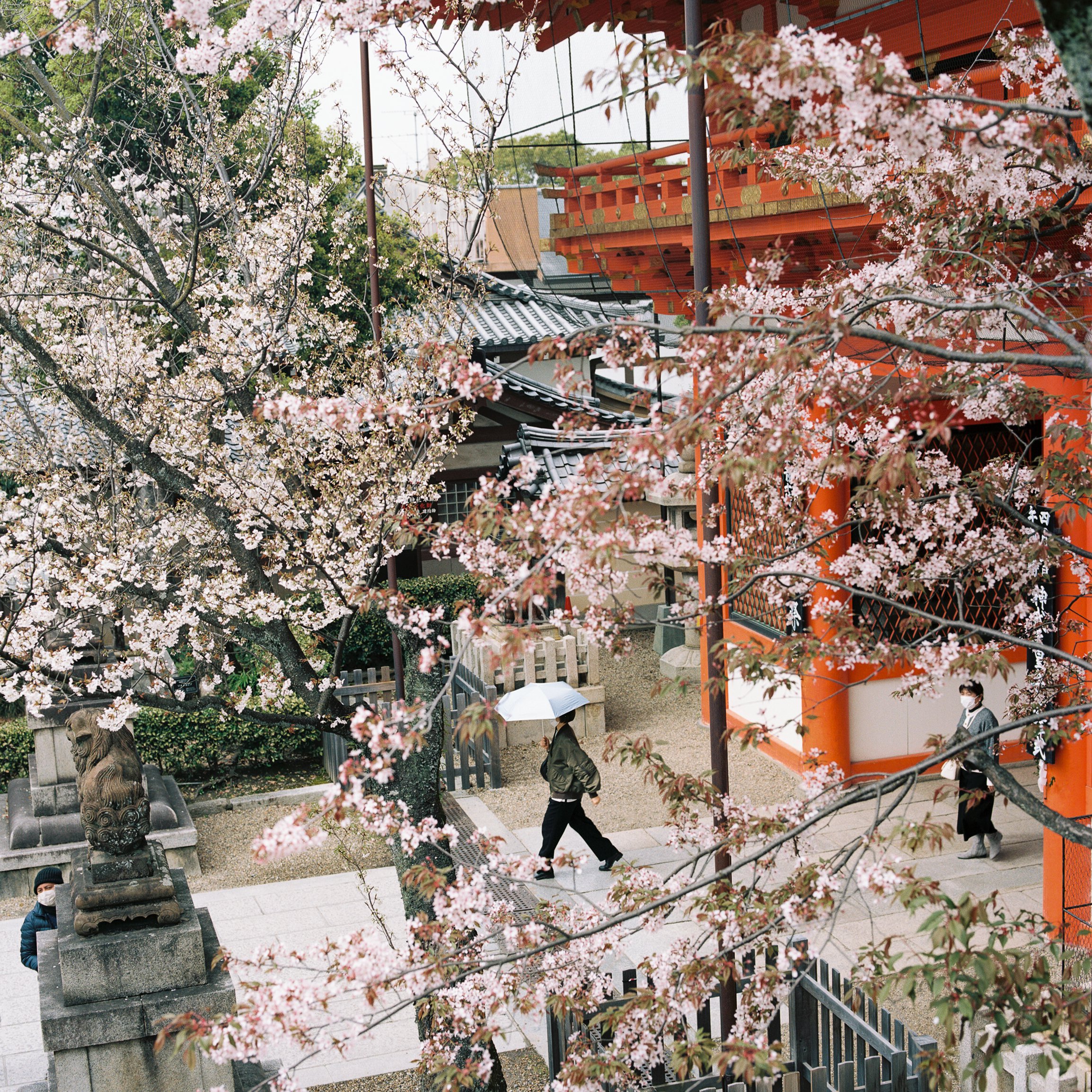 Maruyama Park
