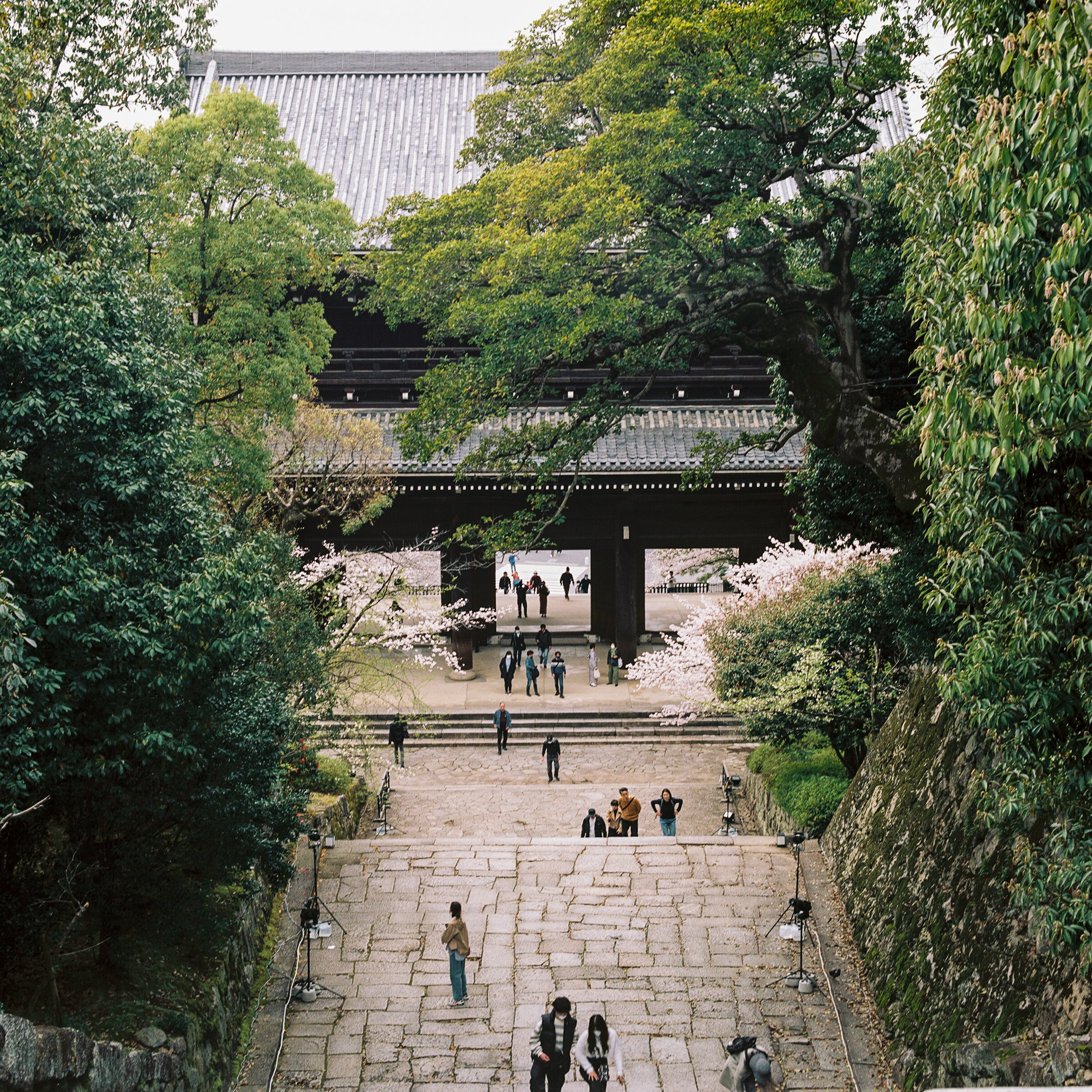Chion-in