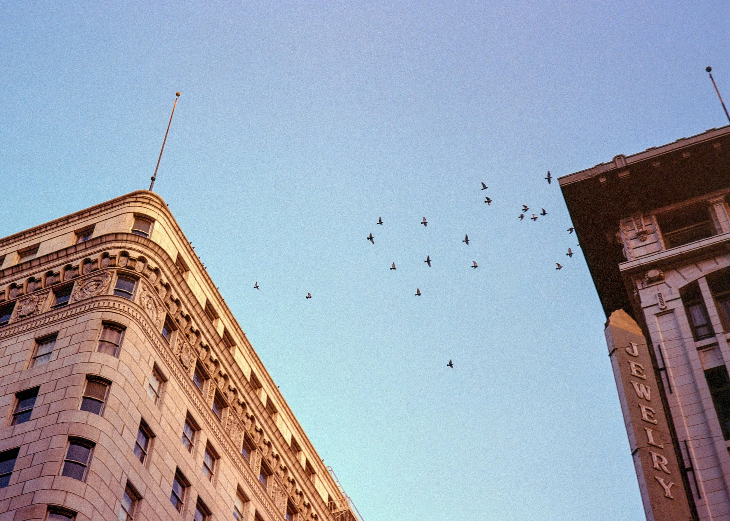 DTLA