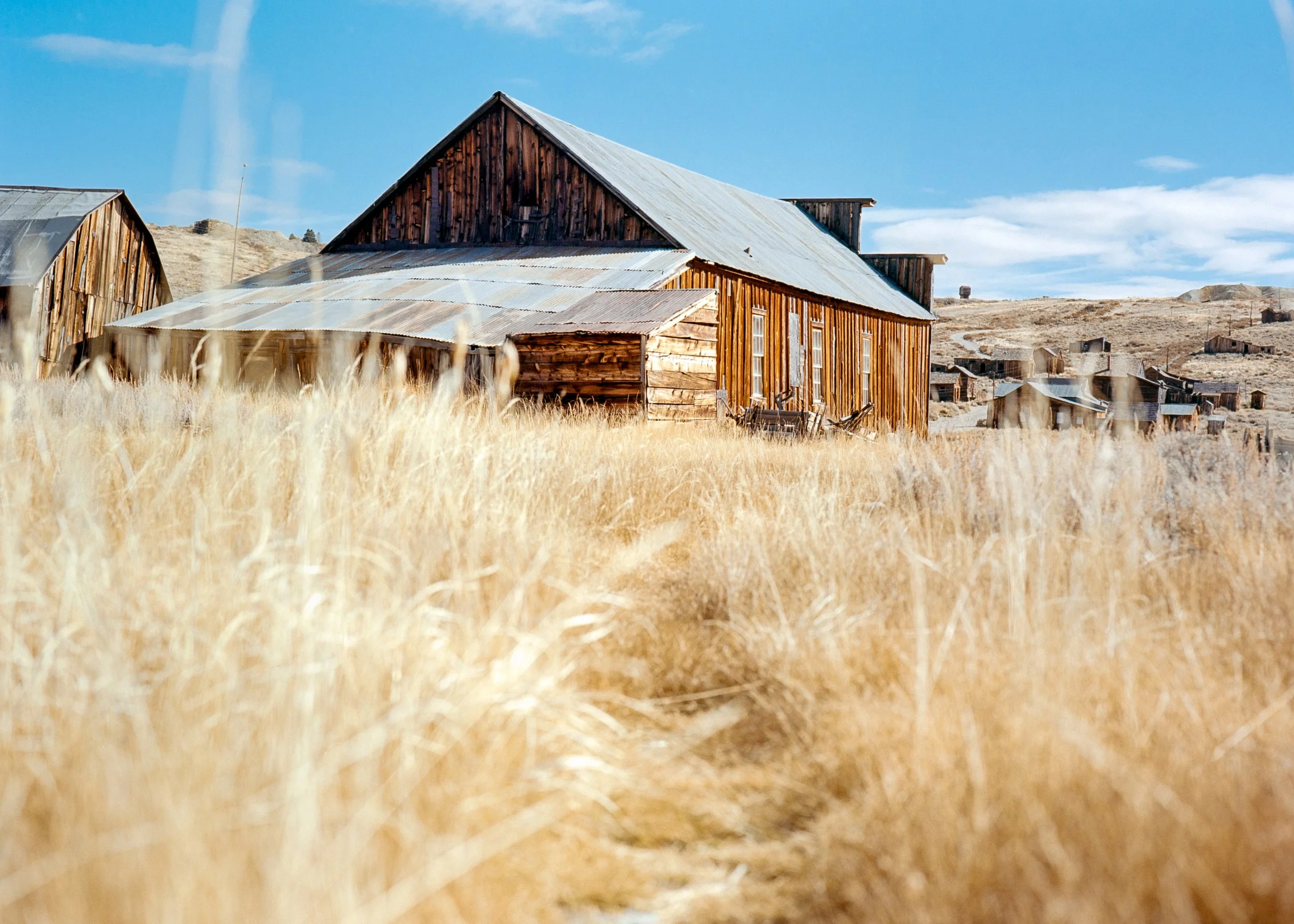 Bodie