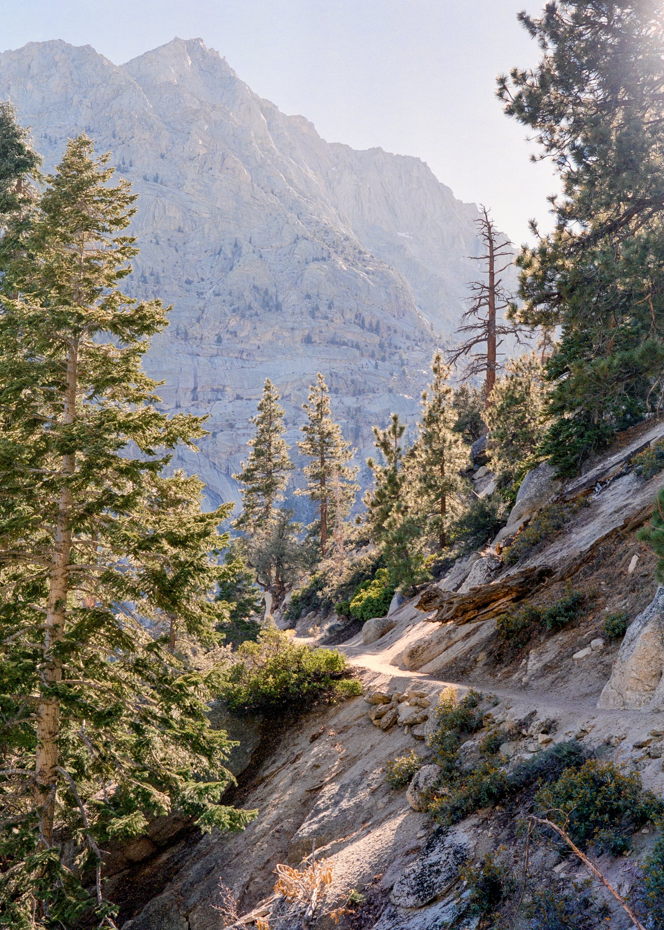 Mt. Whitney Trail