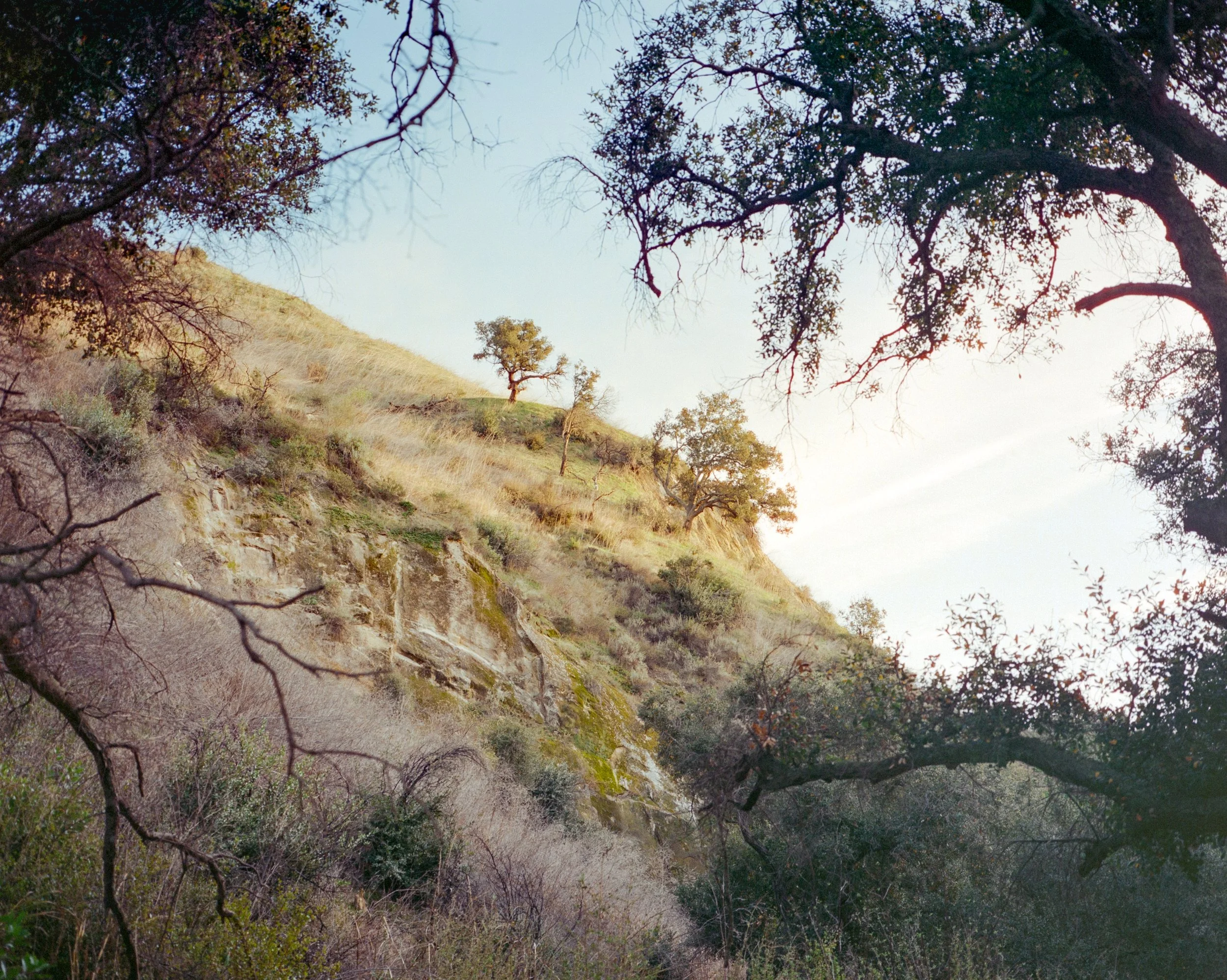 Whiting Ranch