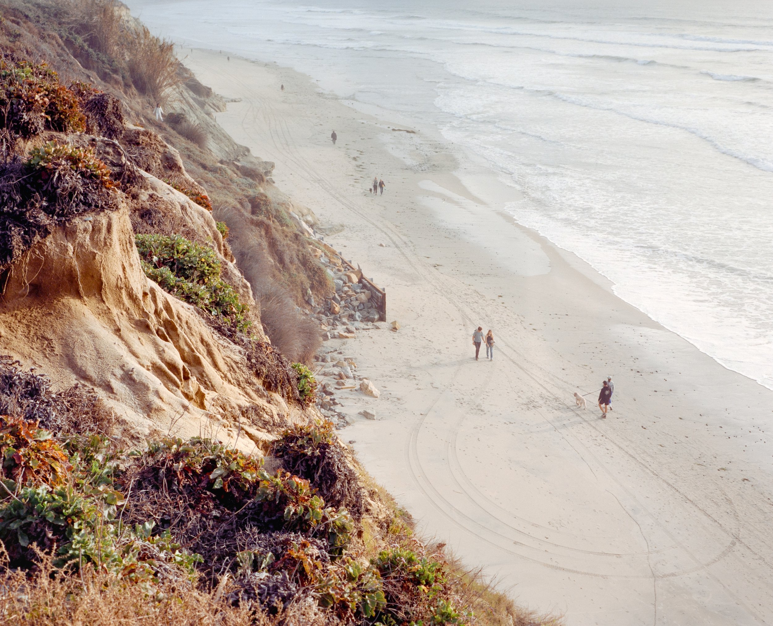 Torry Pines State Beach