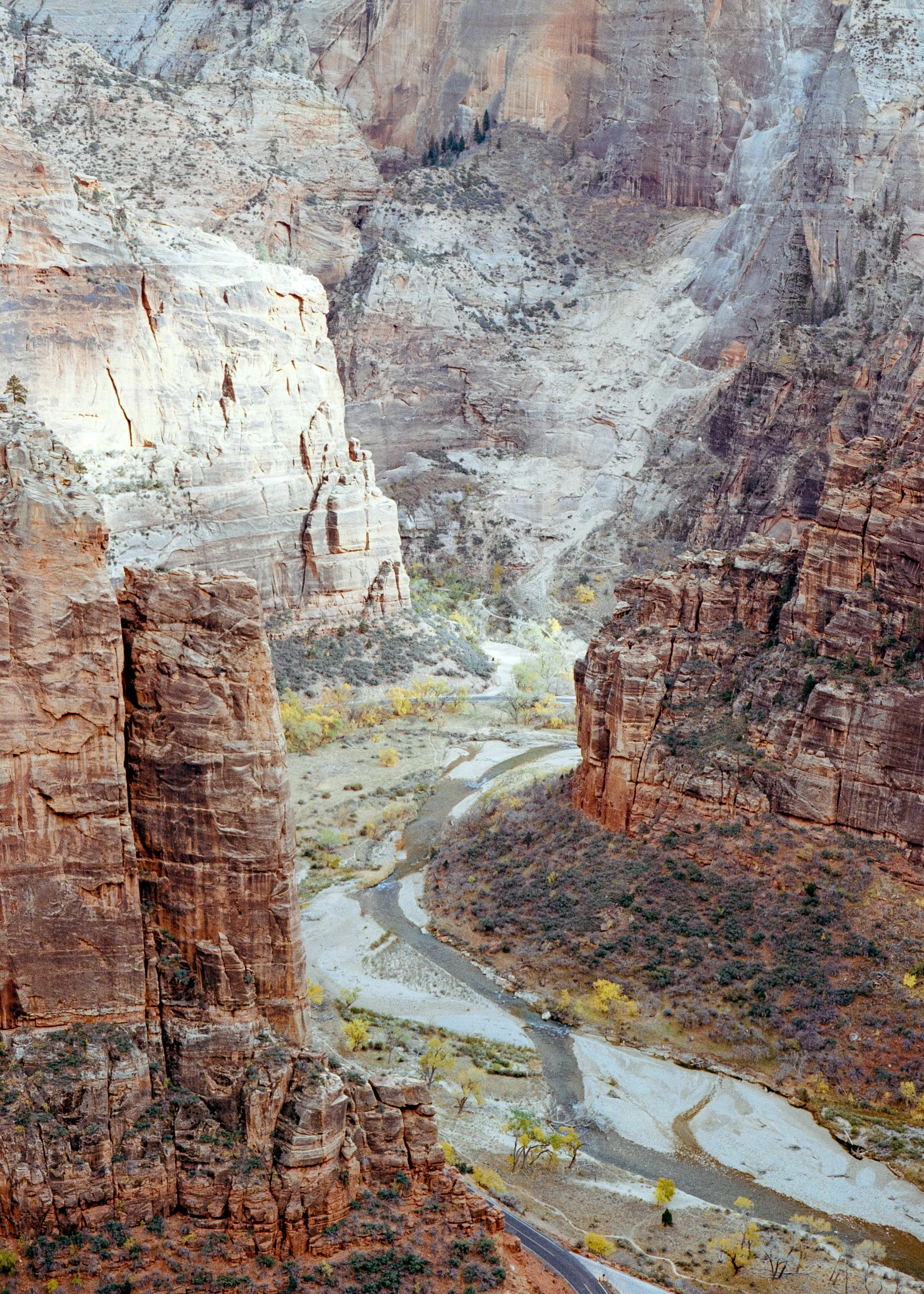 Zion National Park