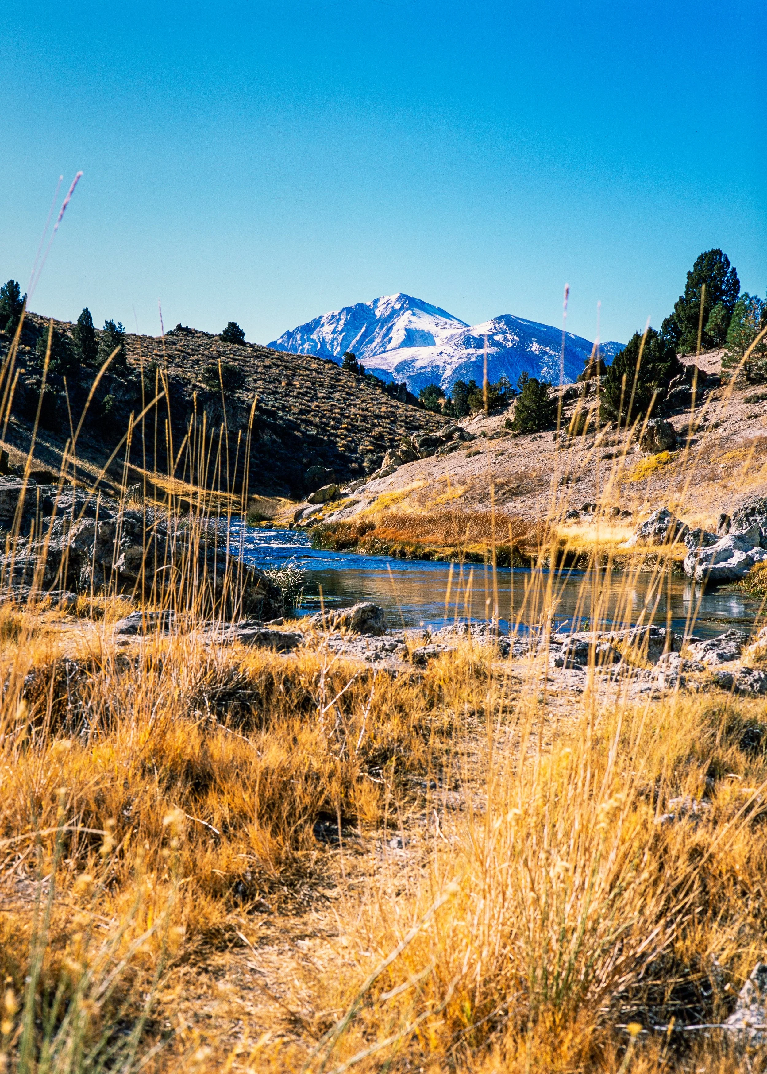 Hot Creek Geological Site
