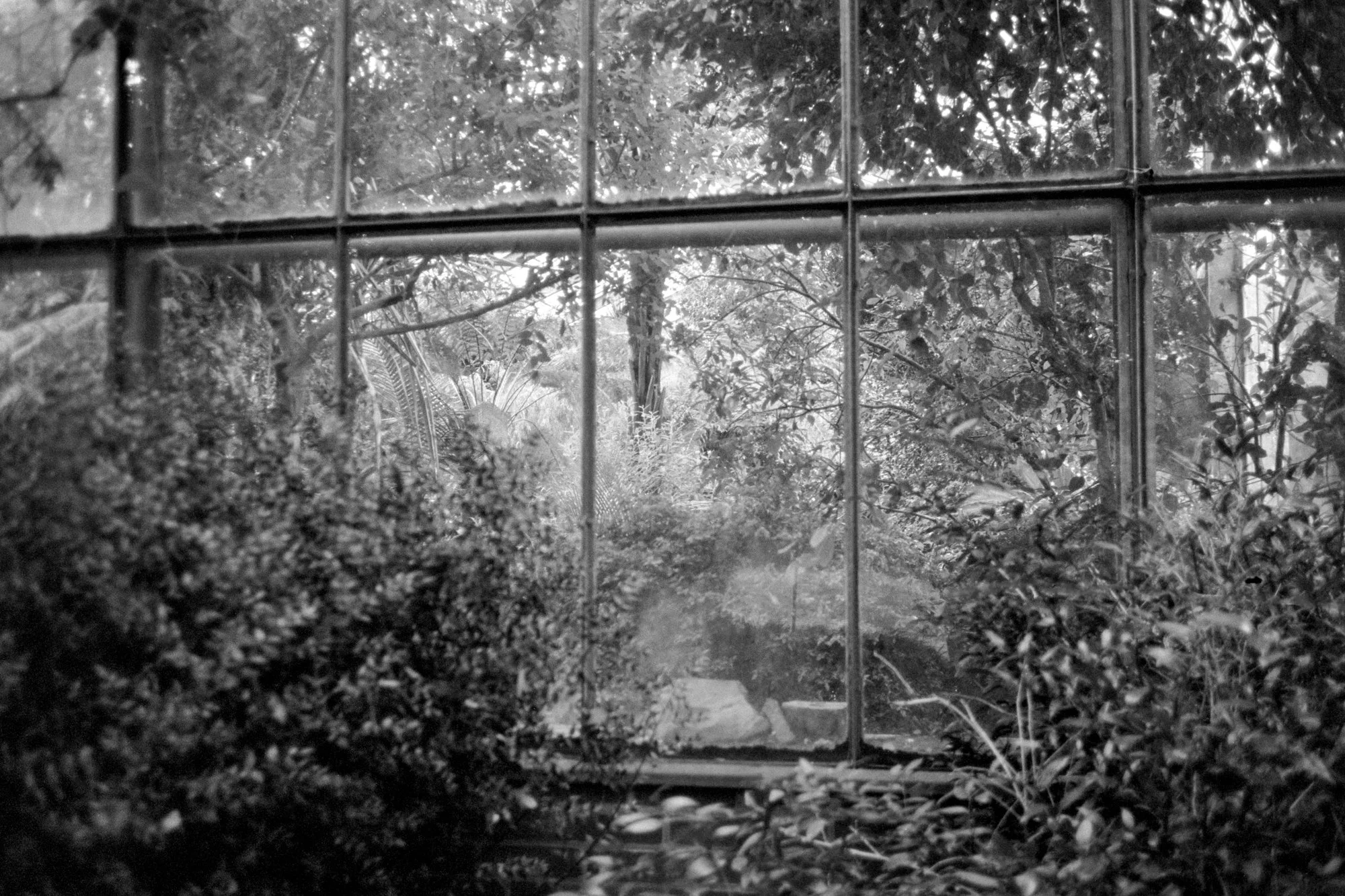 Flora und Botanischer Garten