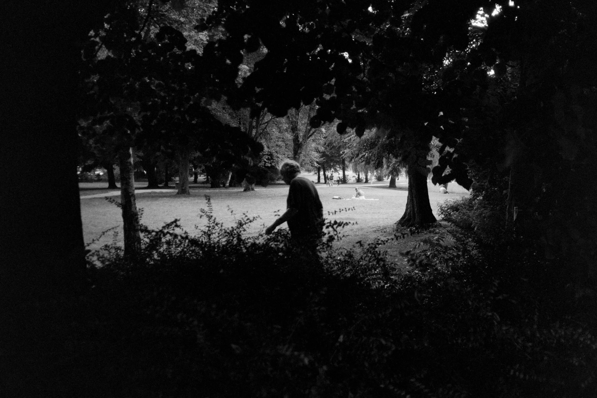 Lohsepark