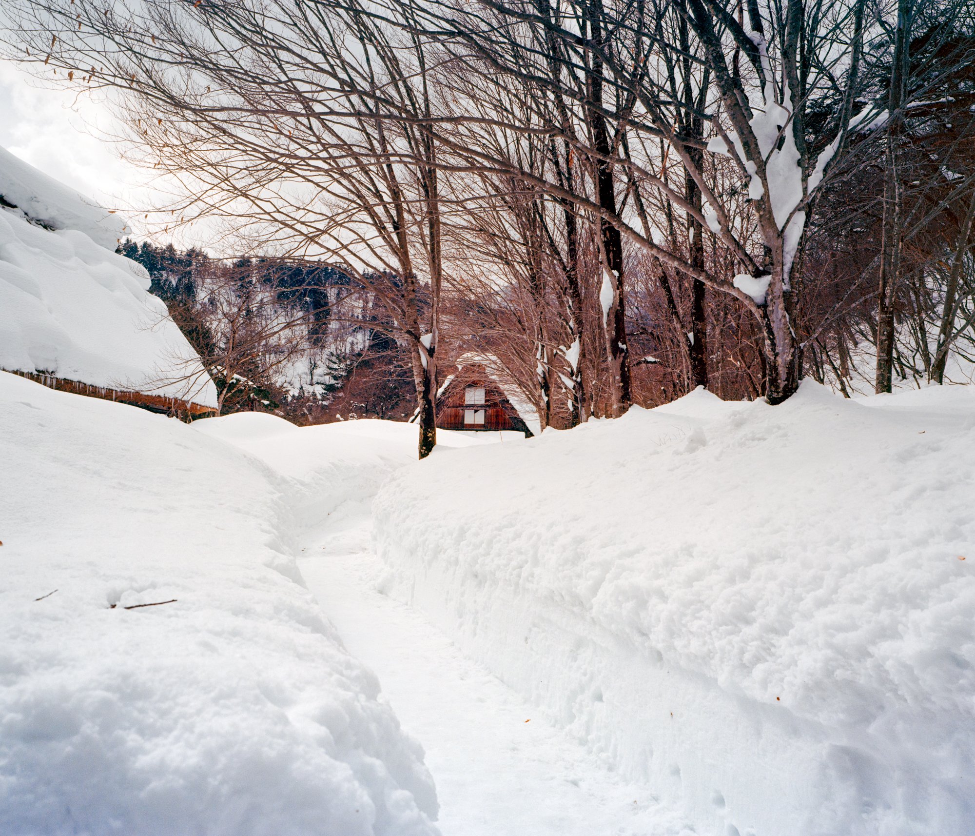 Shirakawago