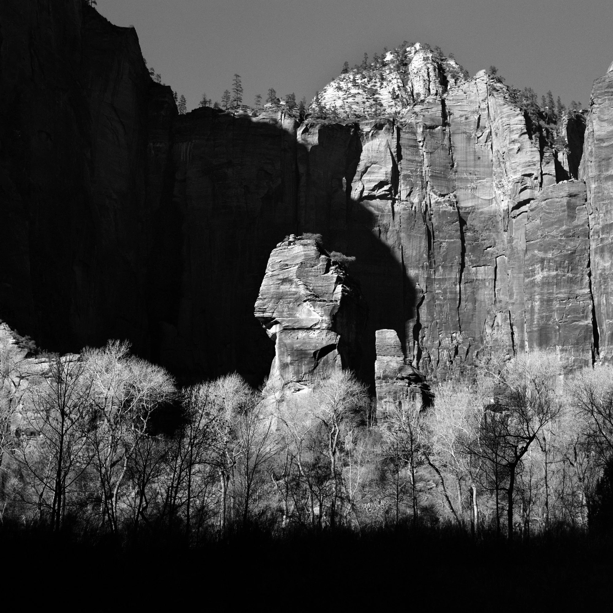 Zion National Park in B&amp;W