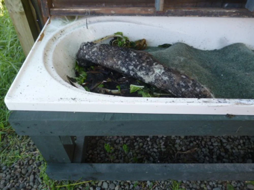 Sustainable Gardener’s active Bathtub Worm Farm