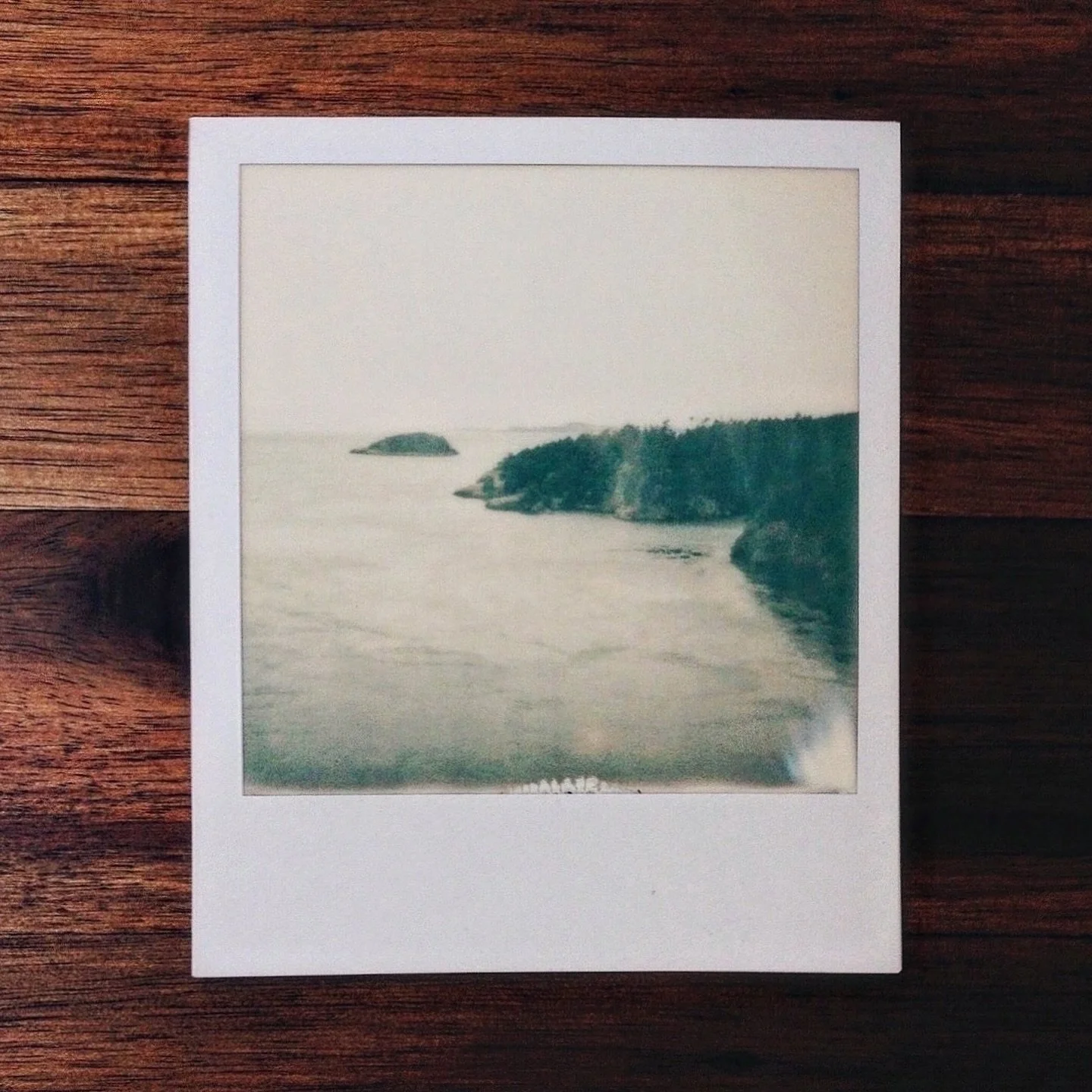 Whidbey Island. 

@polaroid