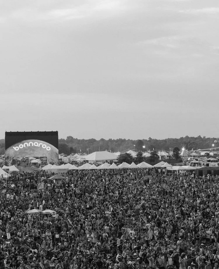 Bonnaroo Crowd.jpg