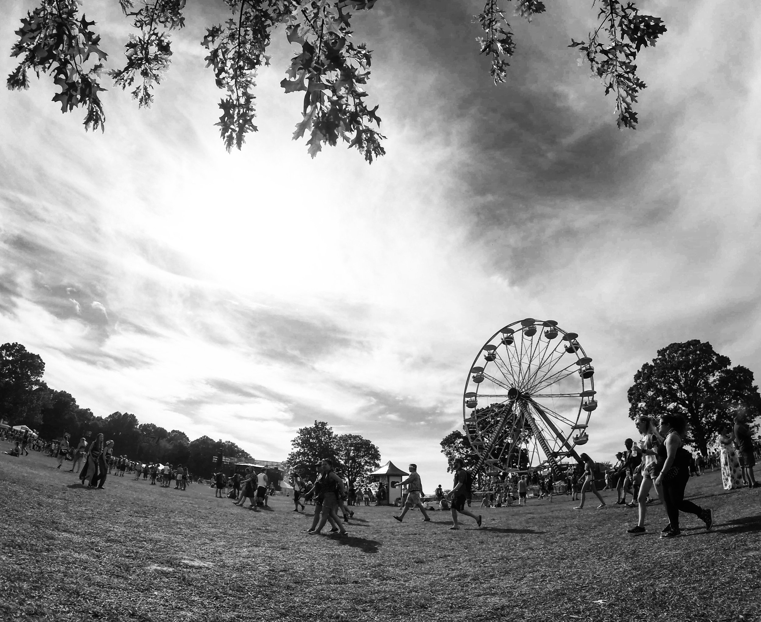 Bonnaroo.jpg