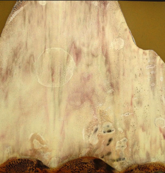 Screenshot 2025-09-09 at 2.18.55 AM.png