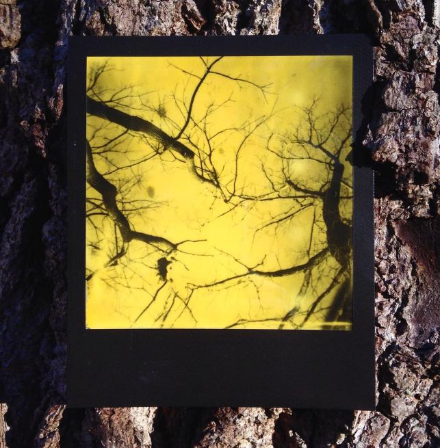 Screenshot 2025-09-09 at 2.18.41 AM.png