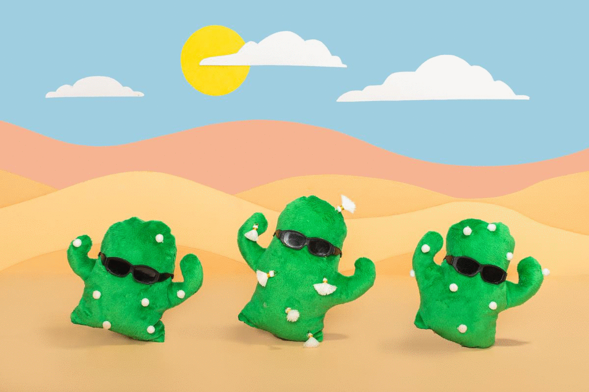 Product Photographer