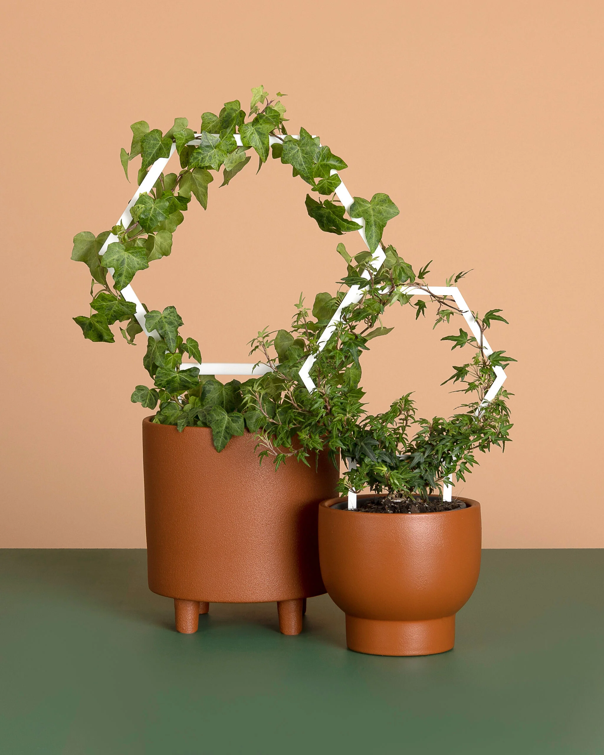 Product photographer brisbane