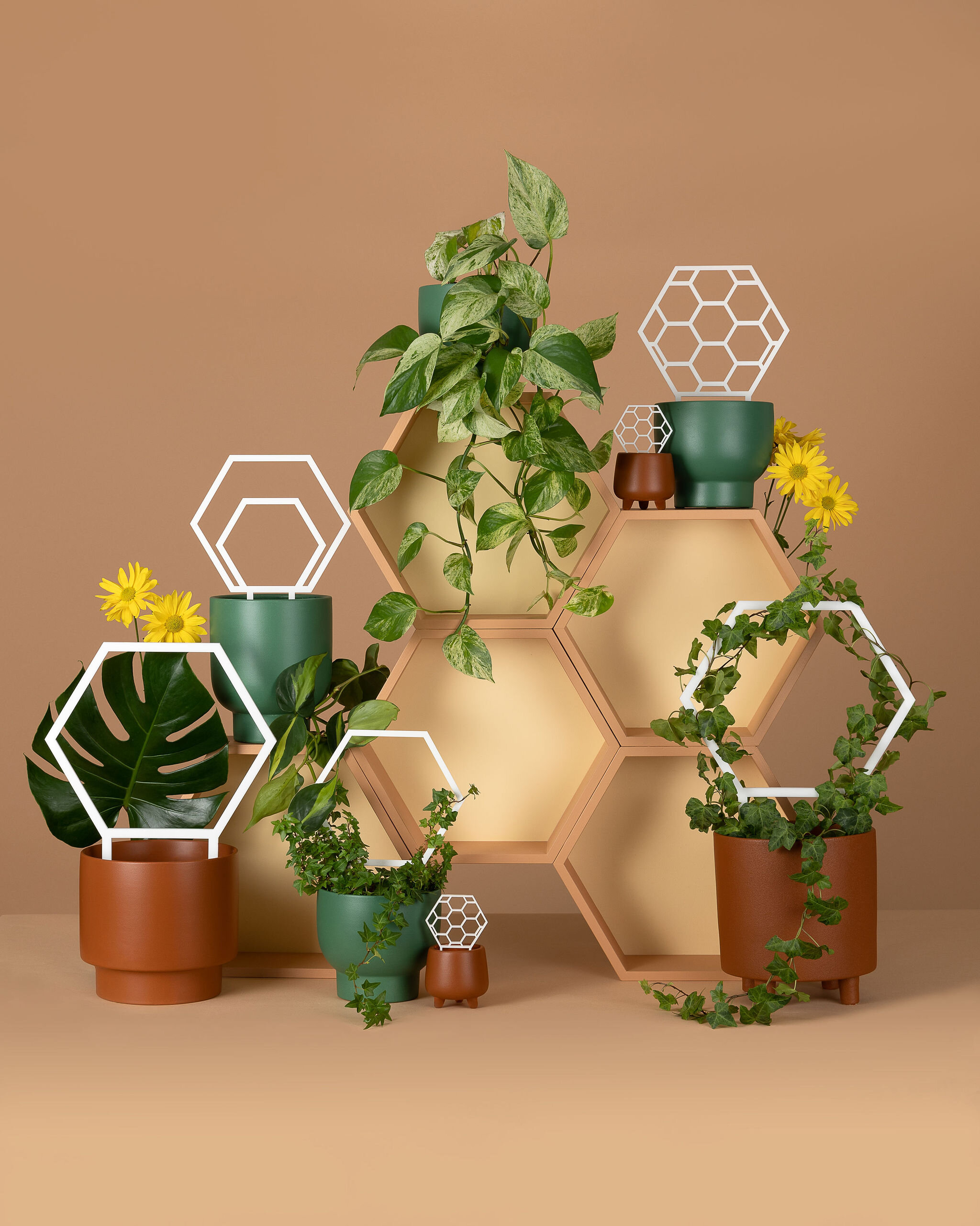 Product photographer brisbane