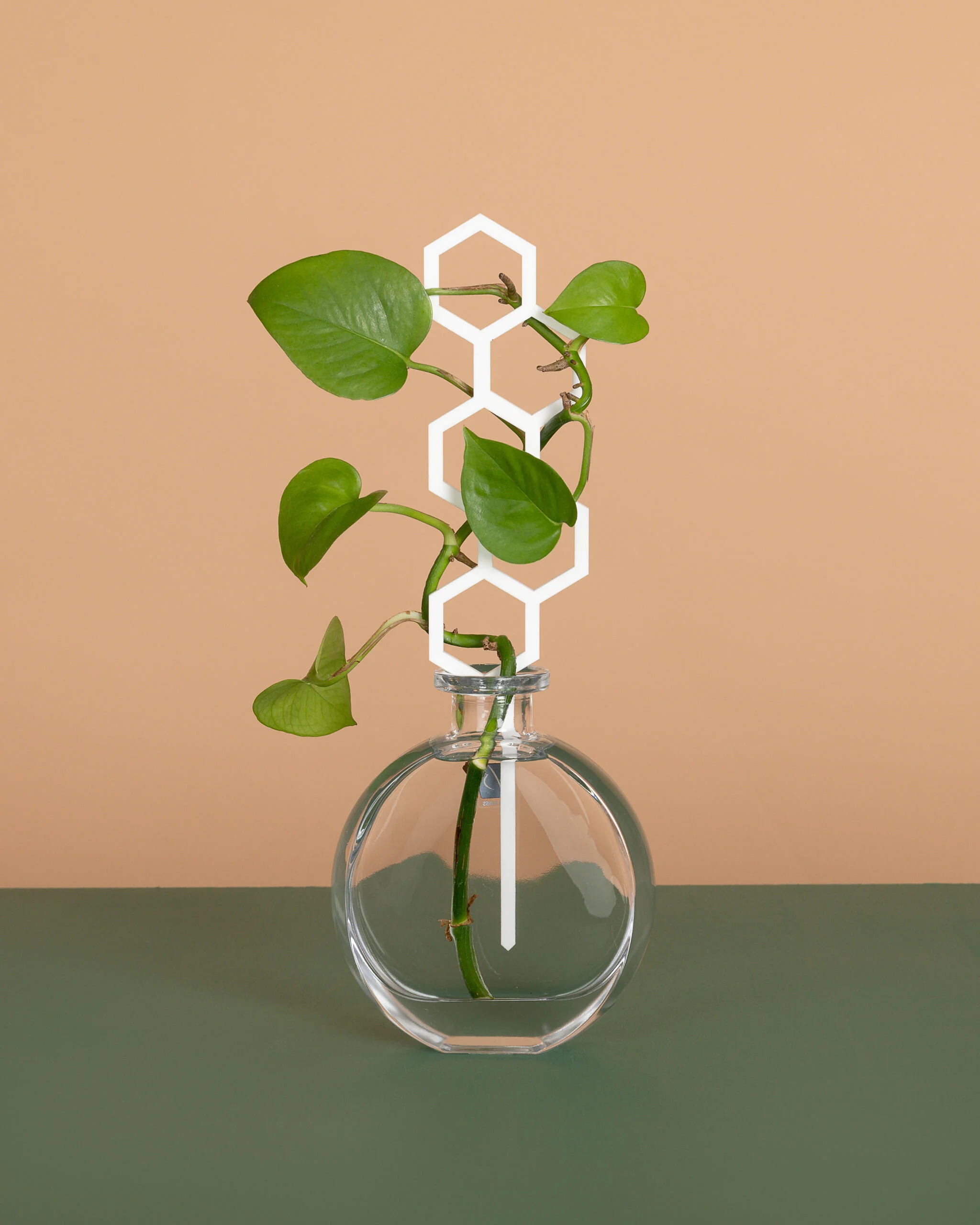 Product photographer brisbane