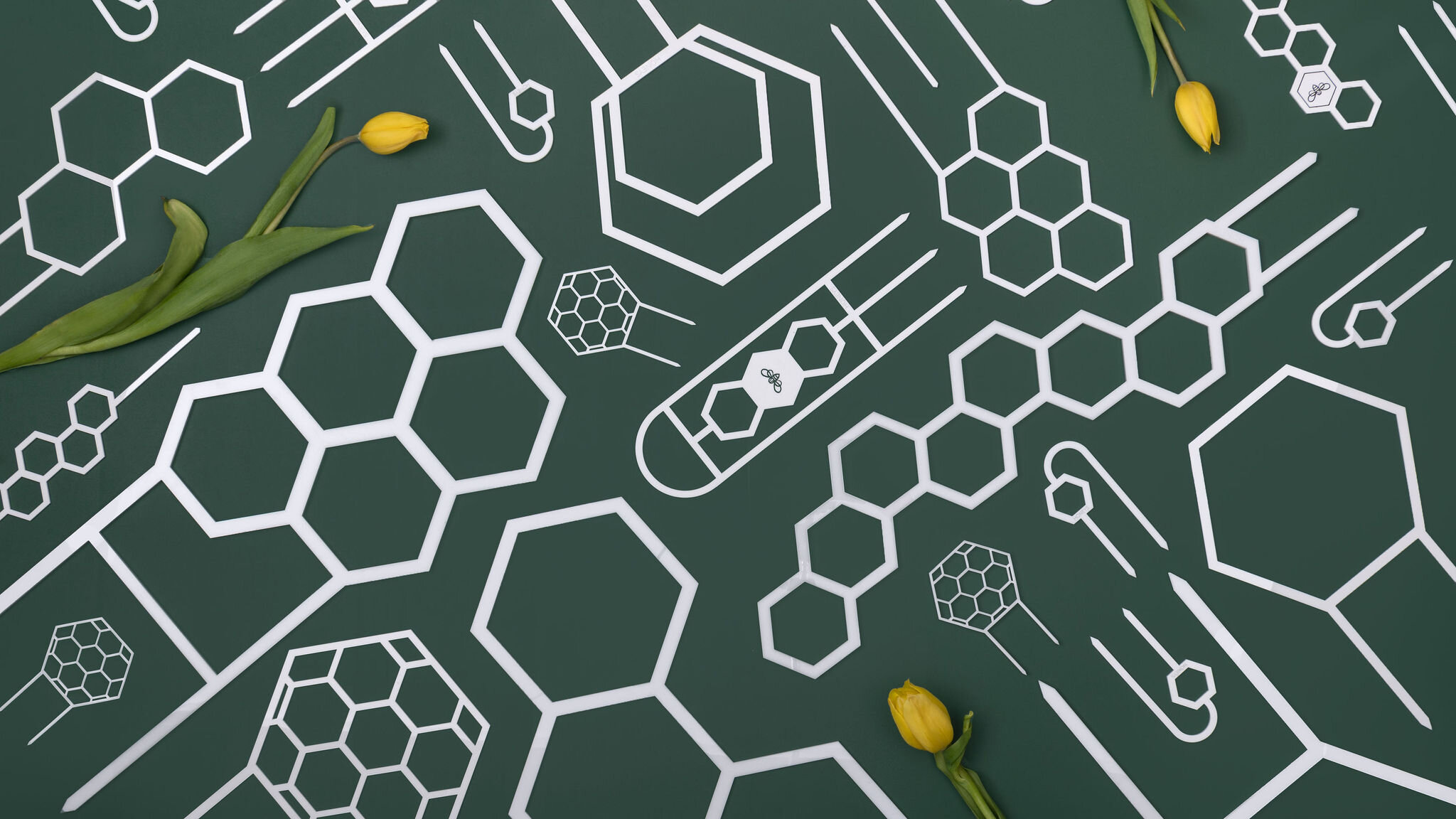 Product photographer brisbane