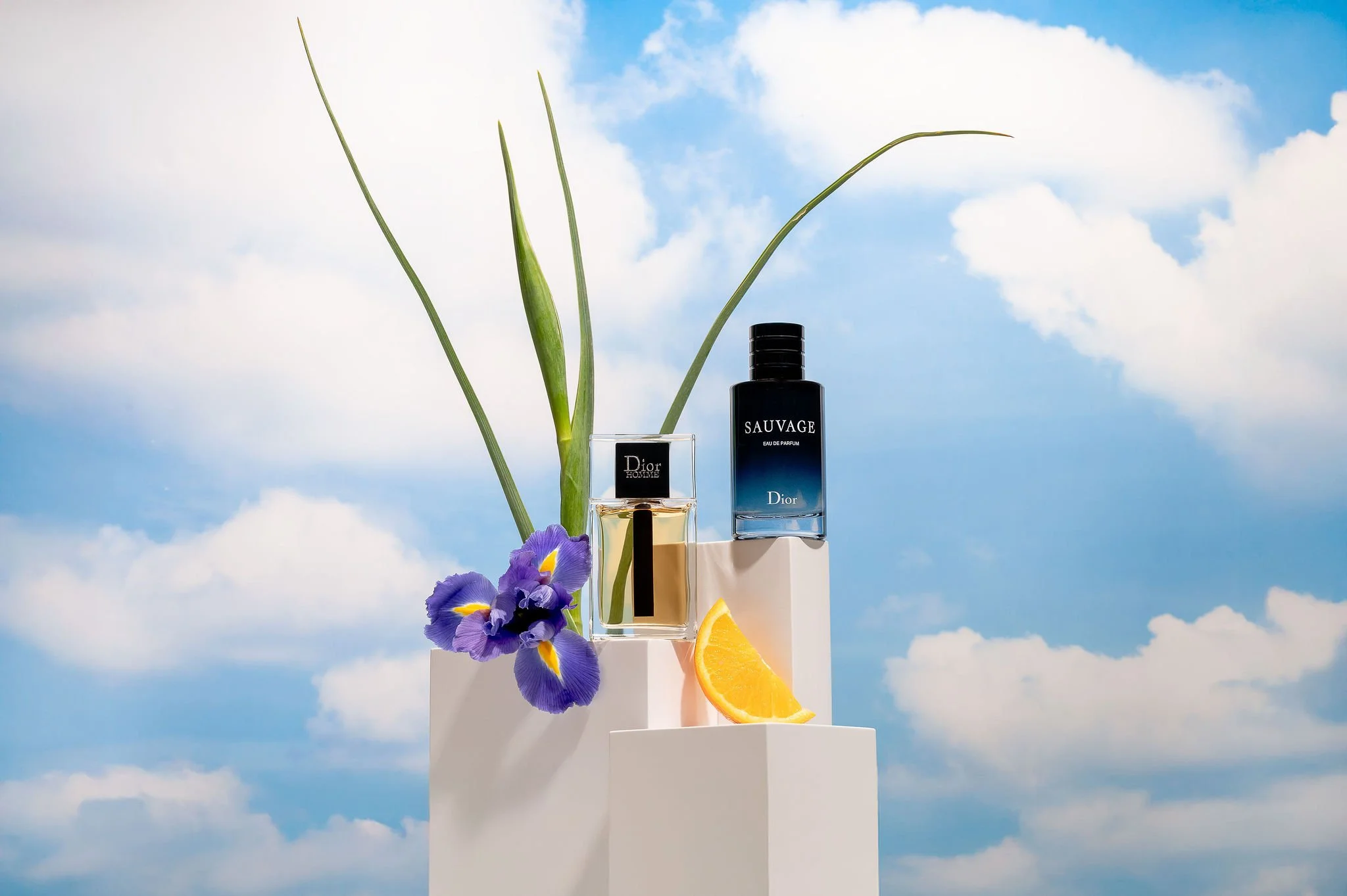 Close-up of Dior with props, styled for product photography