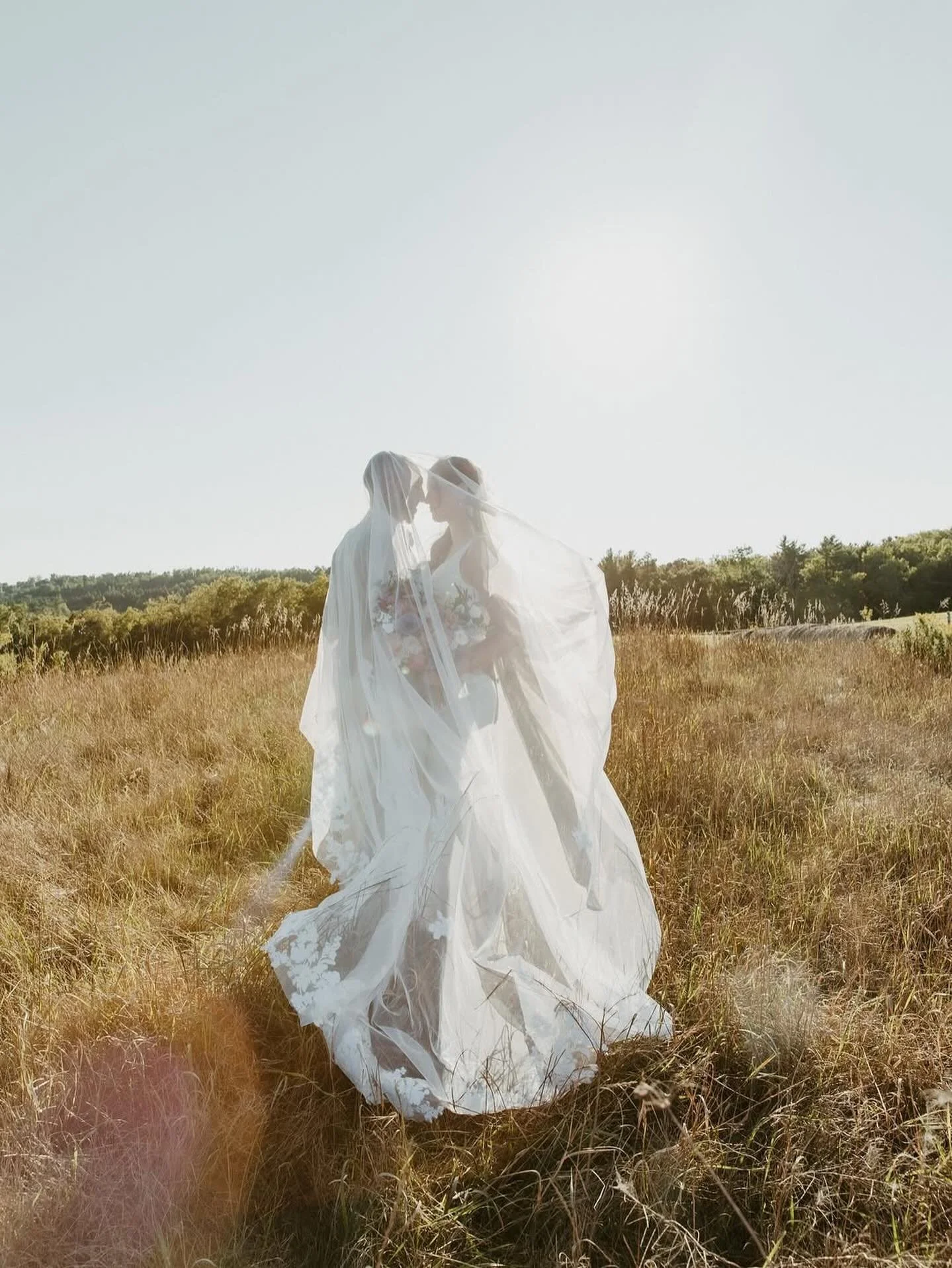 Golden hour 🌾

Repost from @rebeccalouisephoto.graphy