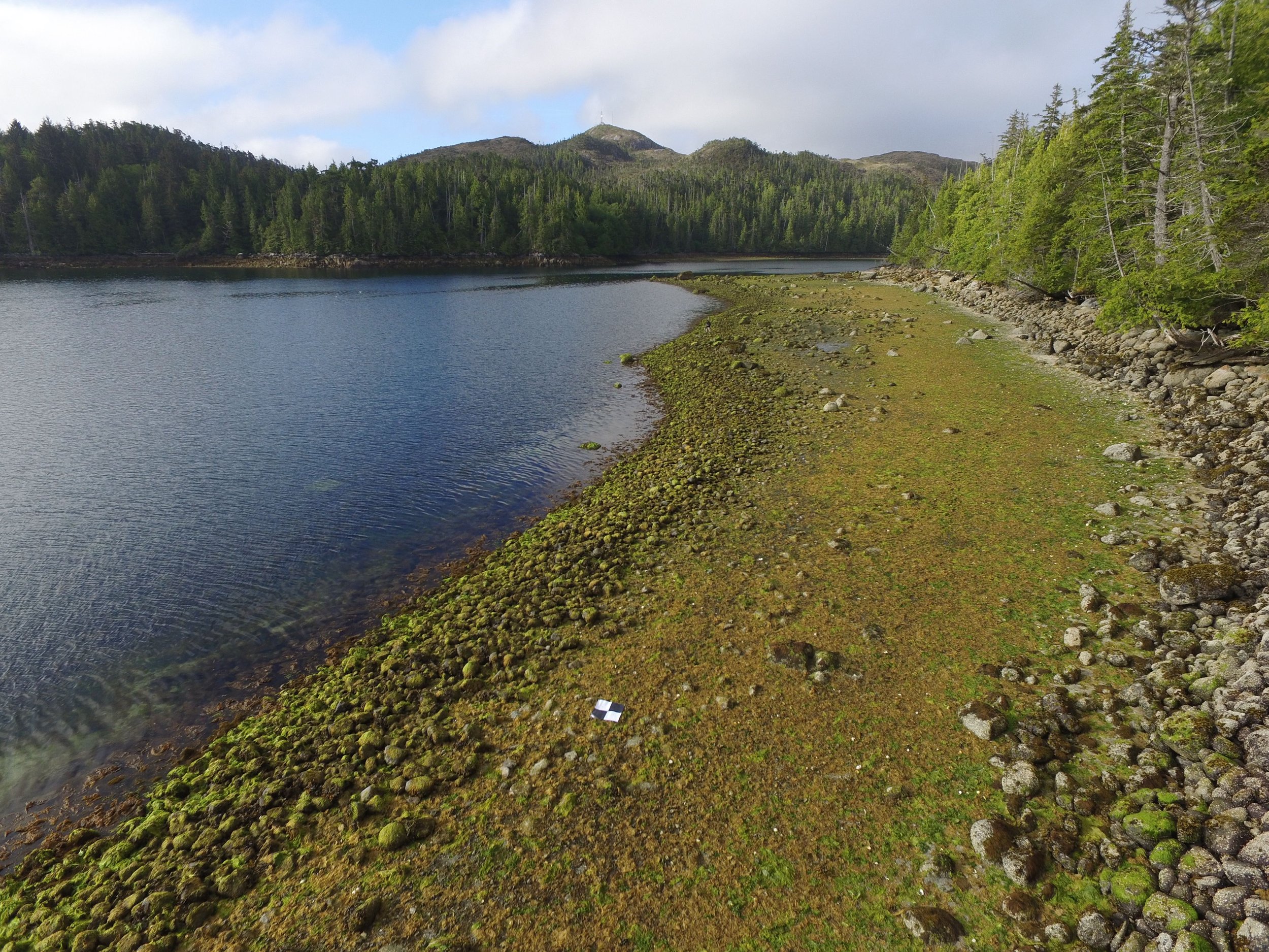 Clam Gardens