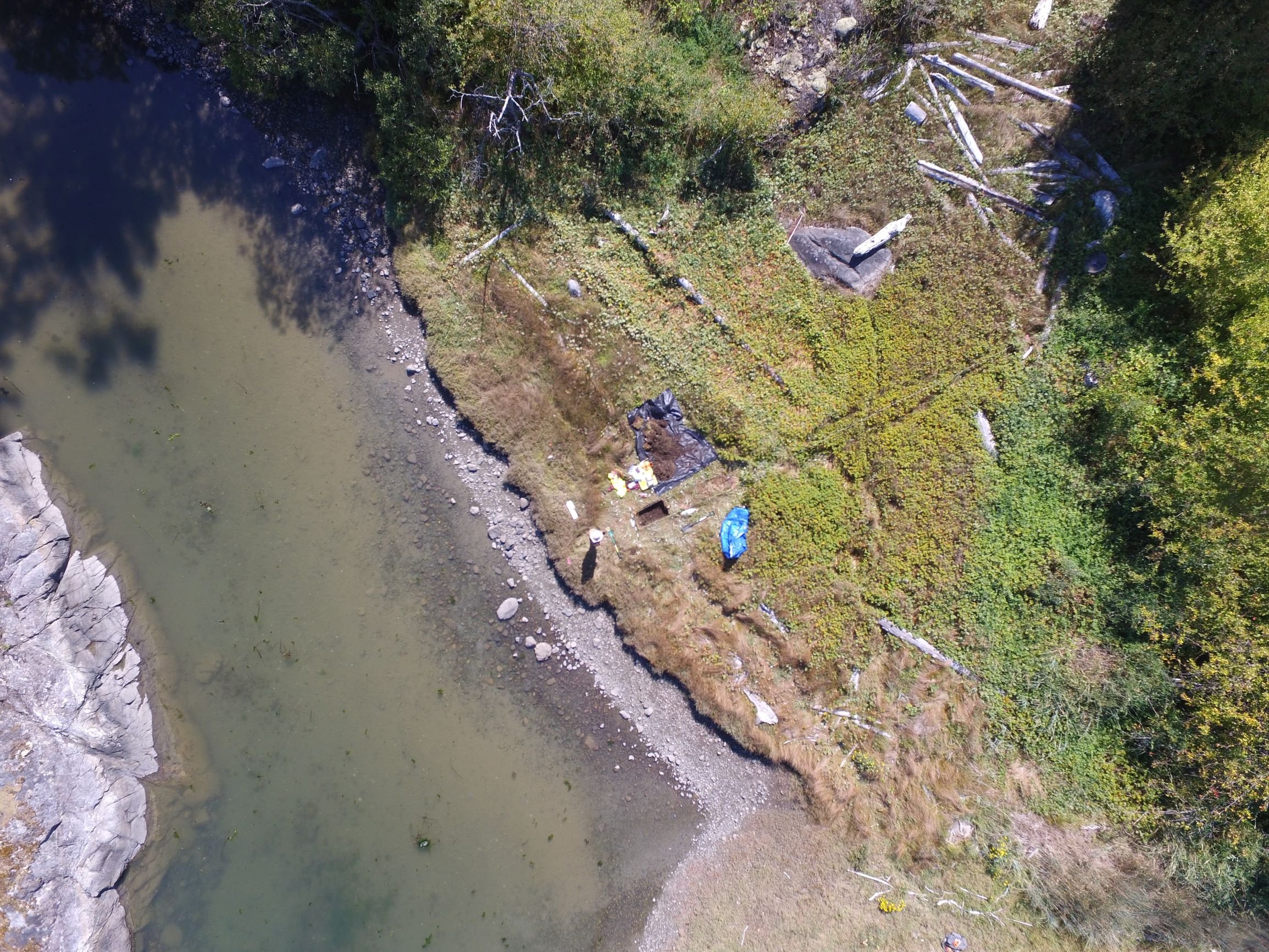 Estuarine Root Gardens