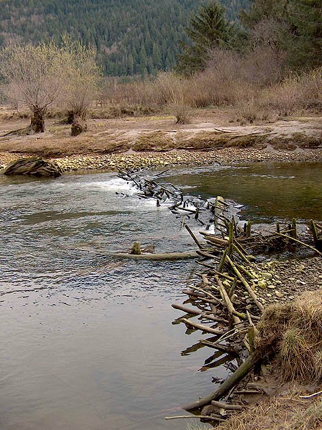 Historic fish weir in South Bentick Arm, Central Coast, BC - Photos by Alan Hobler