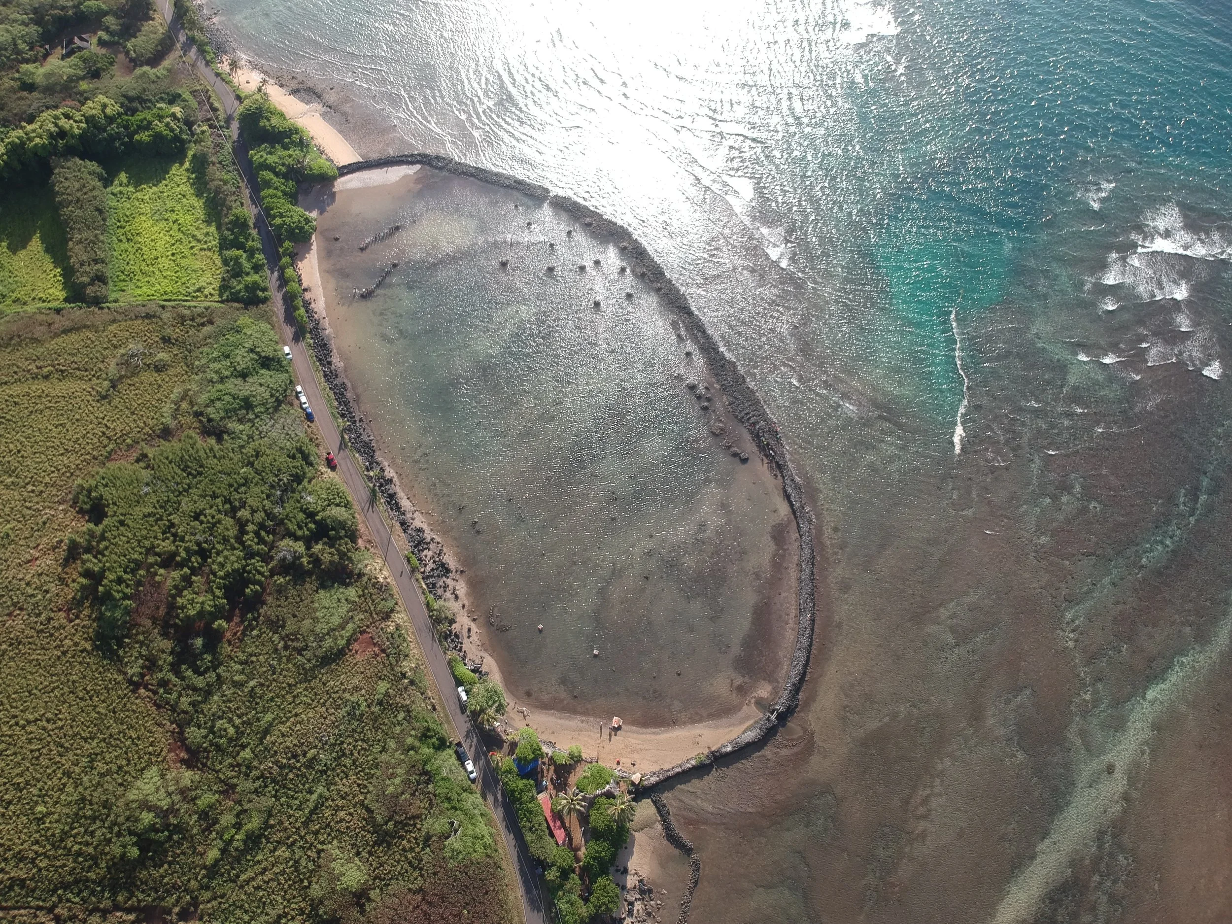 Loko I'a — Sea Gardens Across the Pacific