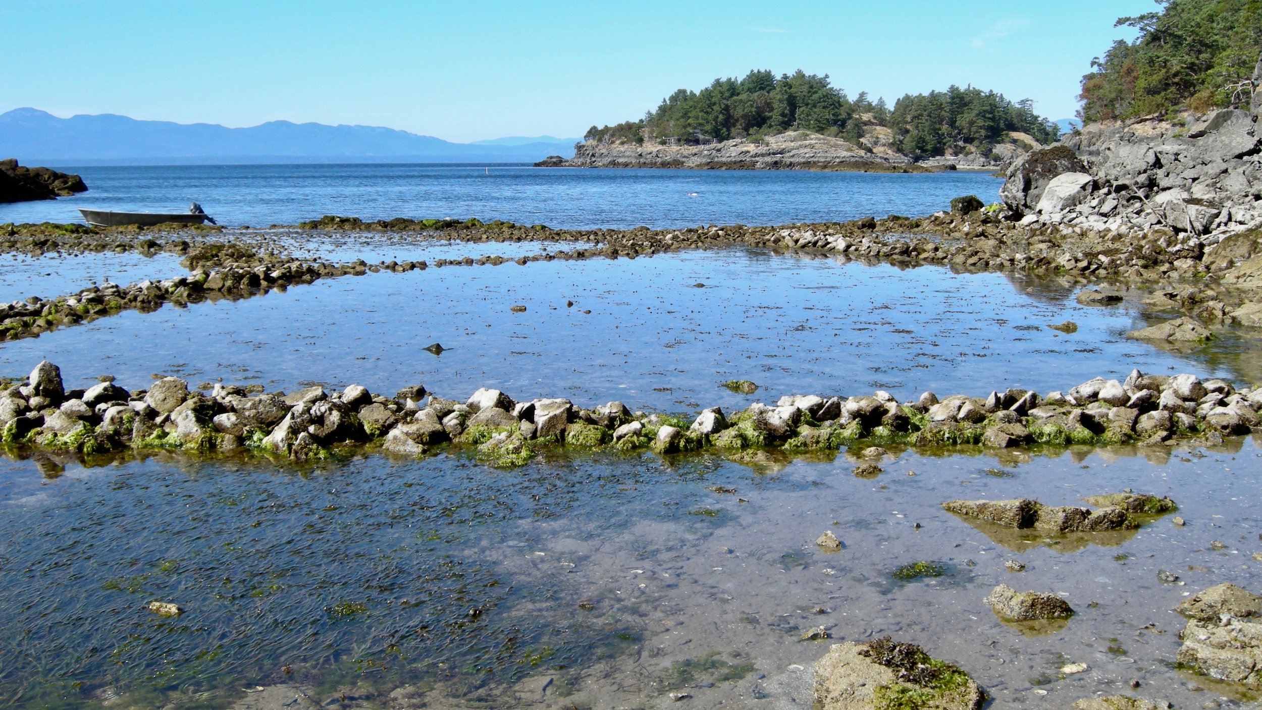 Fish Traps of the Northwest Coast — Sea Gardens Across the Pacific
