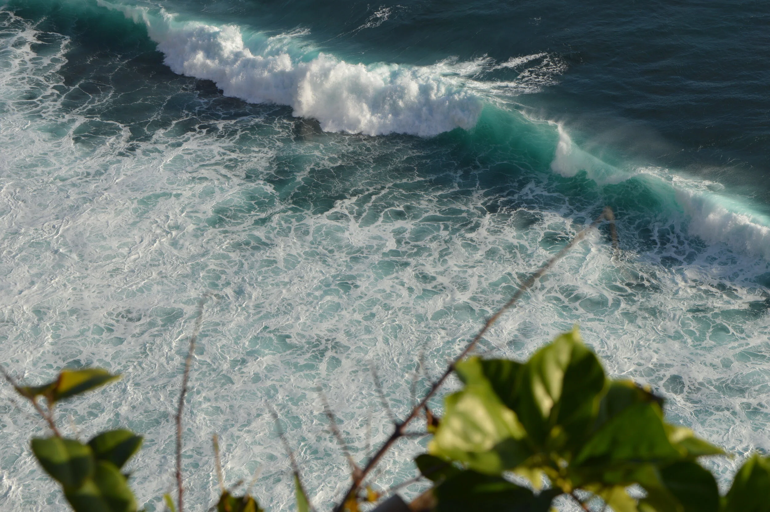 DSC_0413.jpg