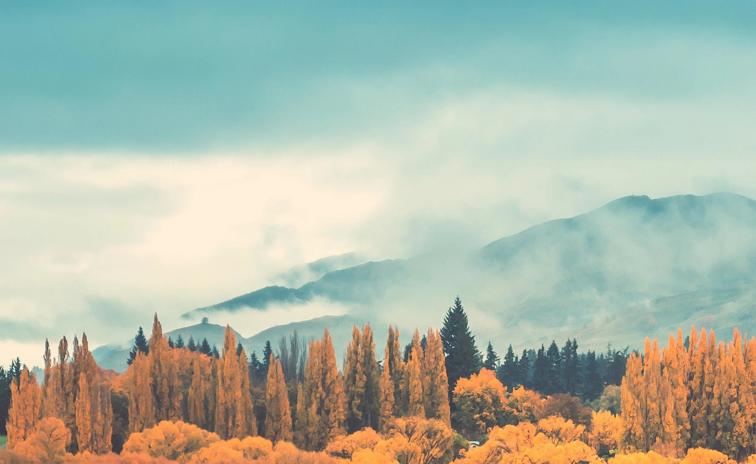 AdobeStock_205330039 1.jpg