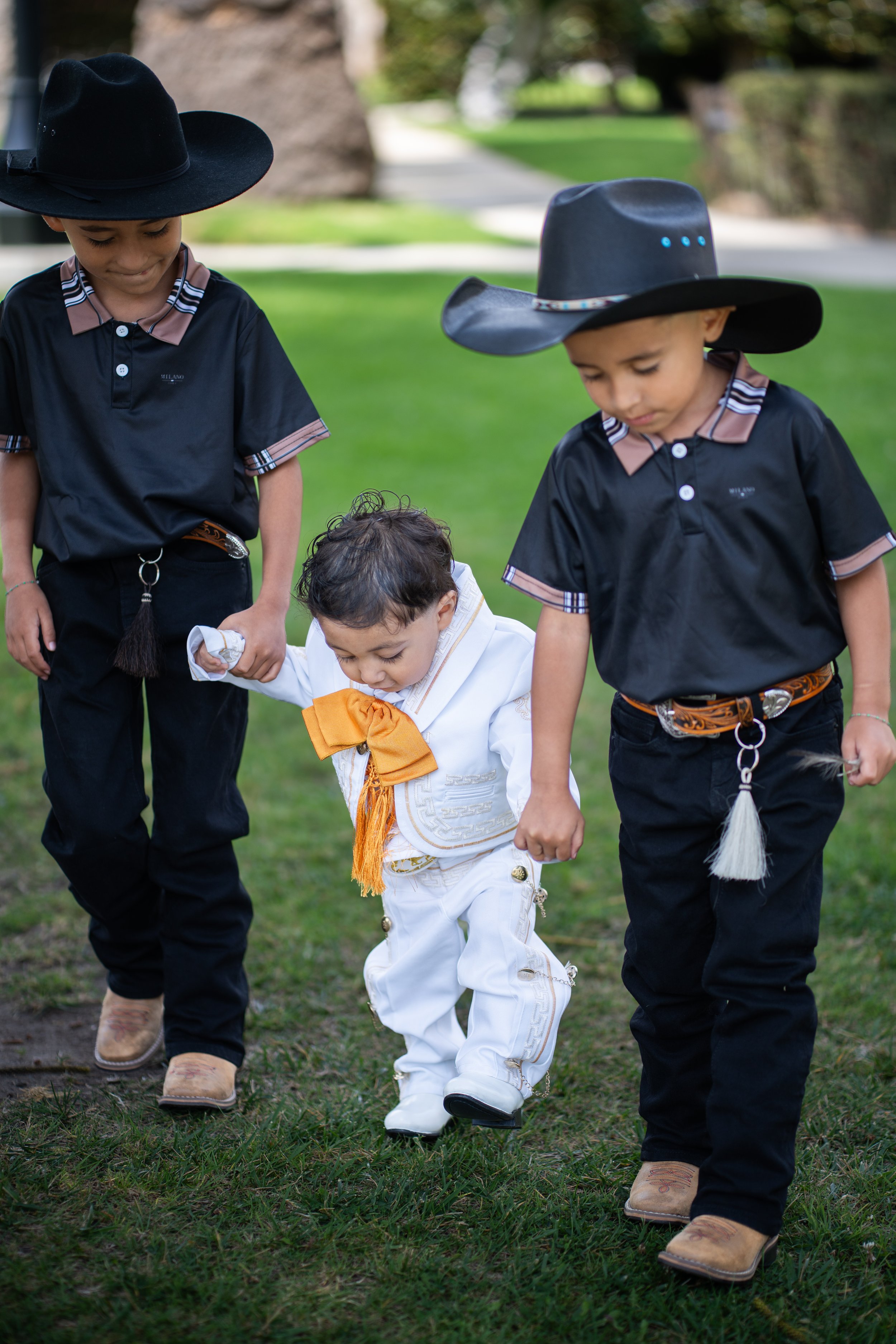 AA108275.jpg