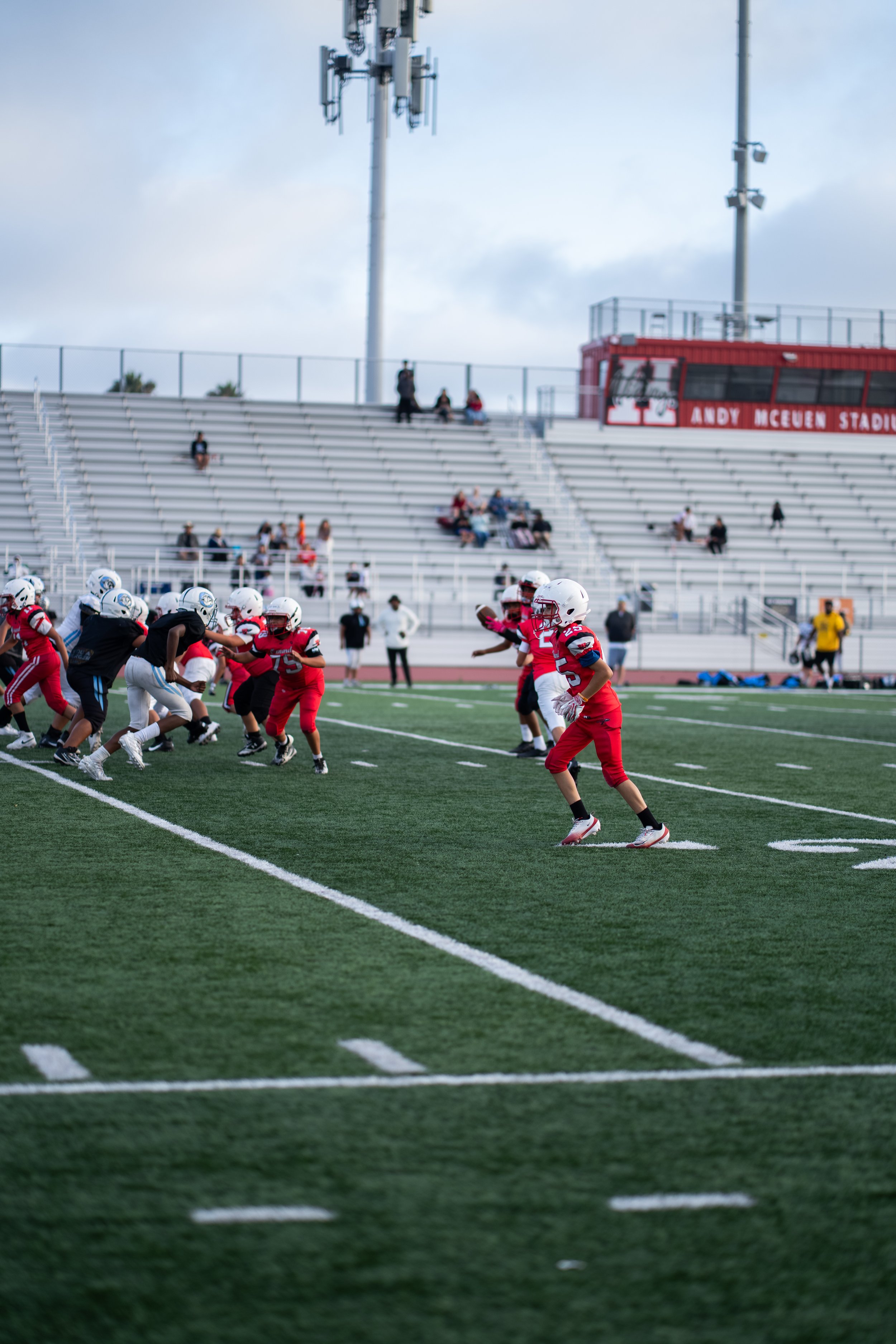 DSC00650.jpg