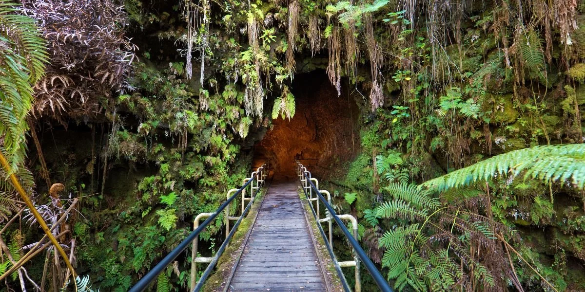 National Park Fee Free Day!