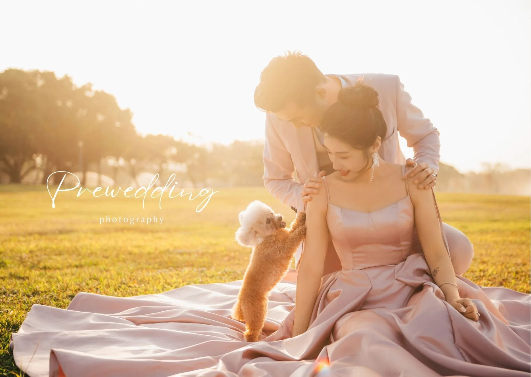 想帶毛小孩拍婚紗？寵物婚紗新玩法大公開