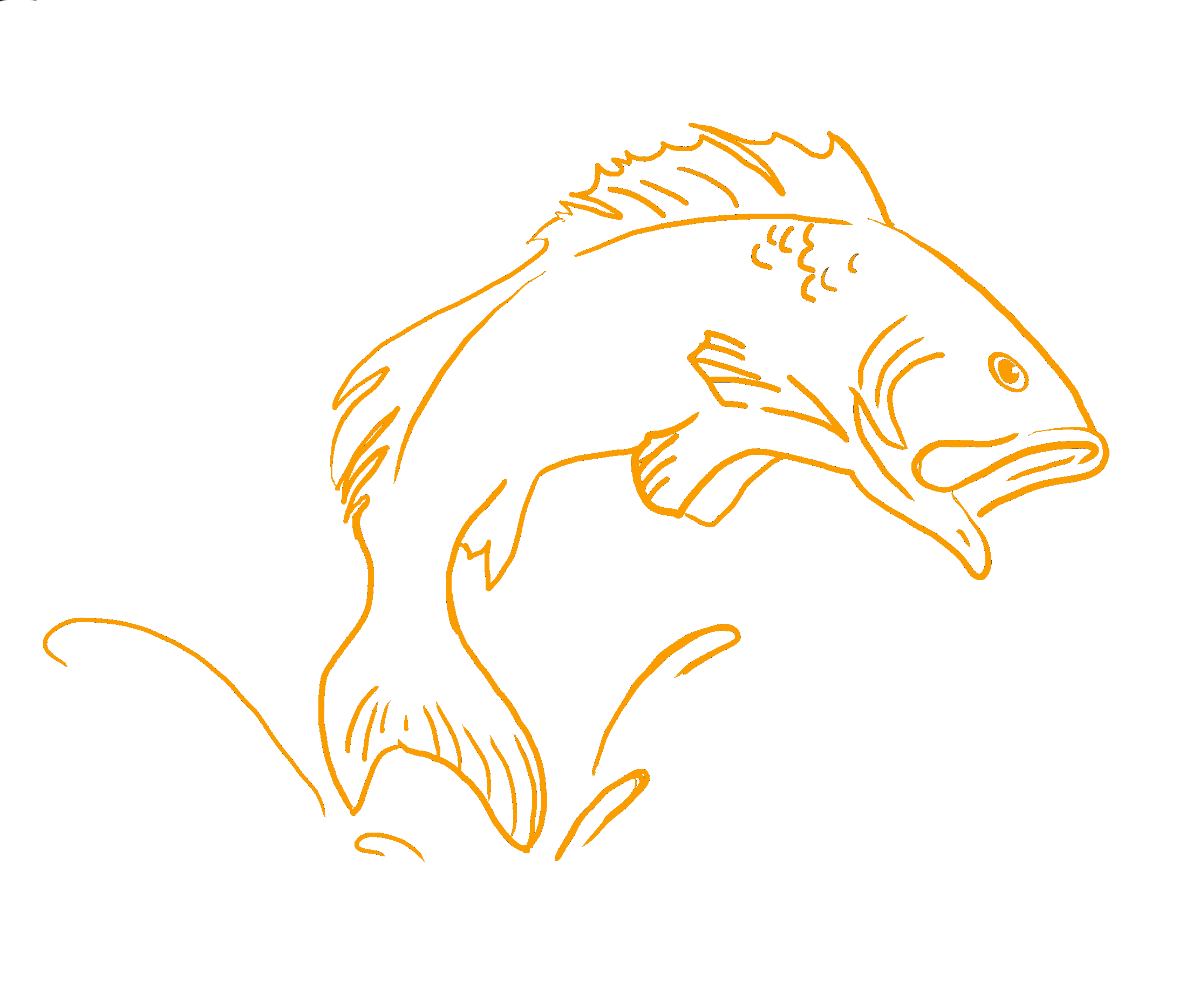 ChackoMD.Fish.png